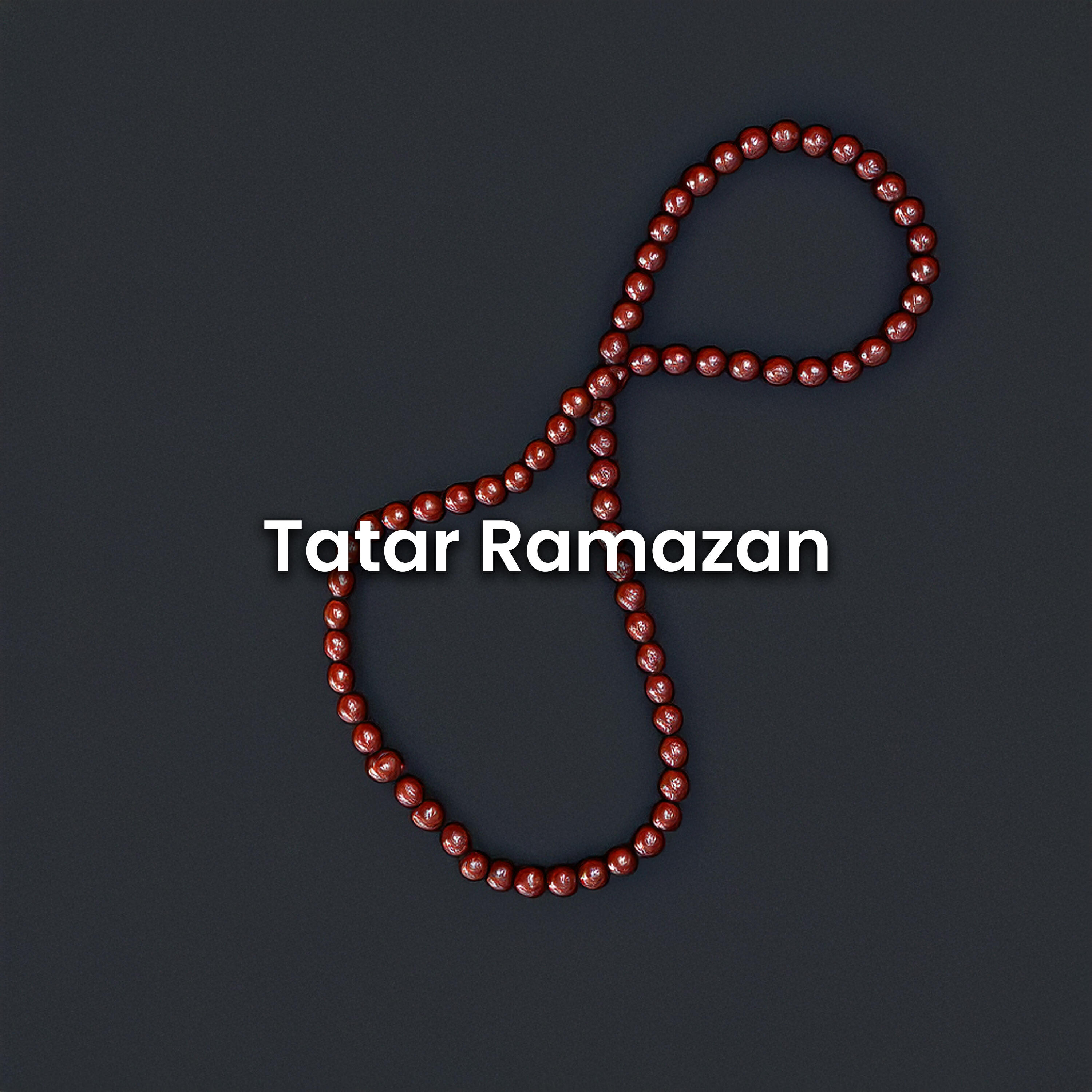 Релиз Tatar Ramazan