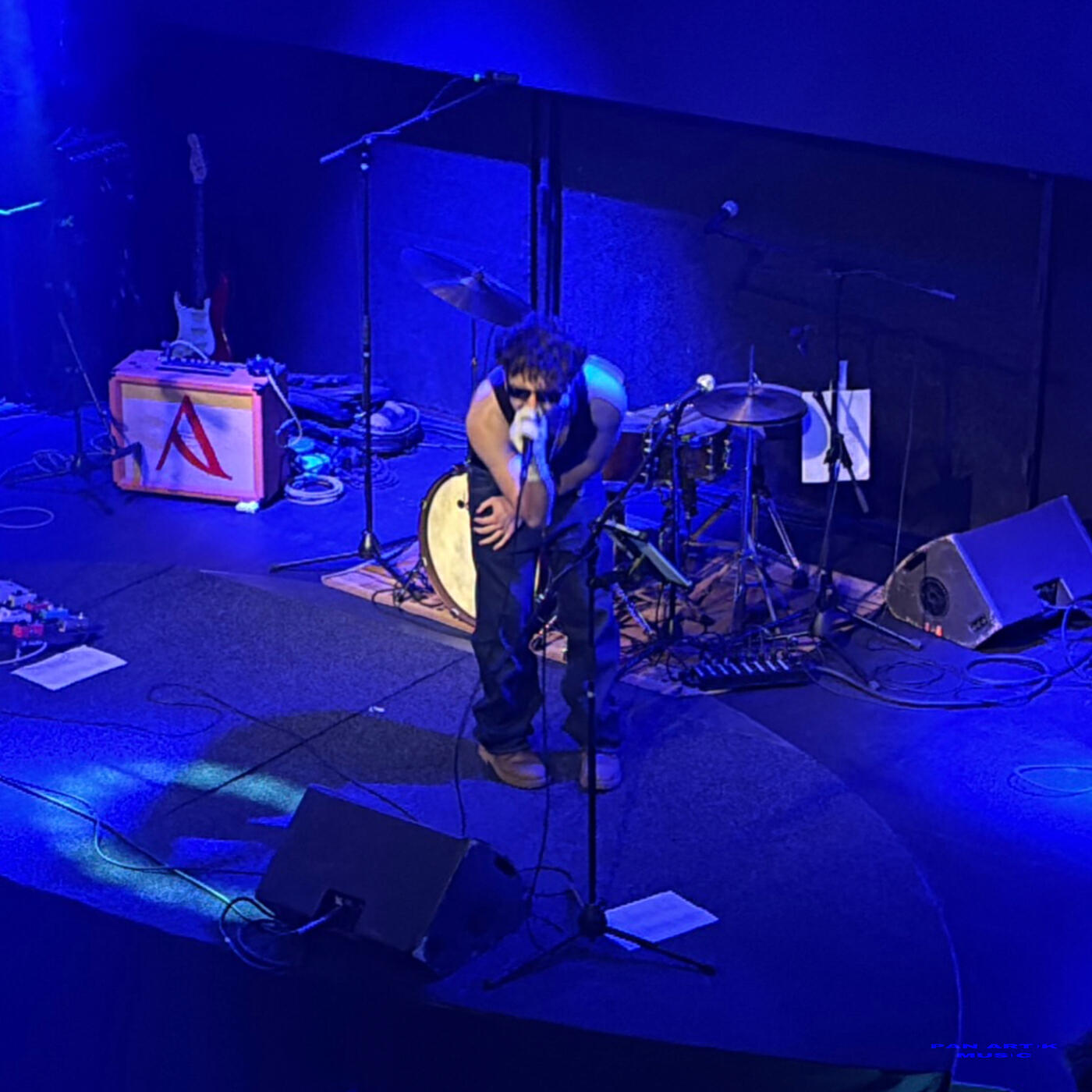 Релиз Bush (Live from Lucerna May 2026)