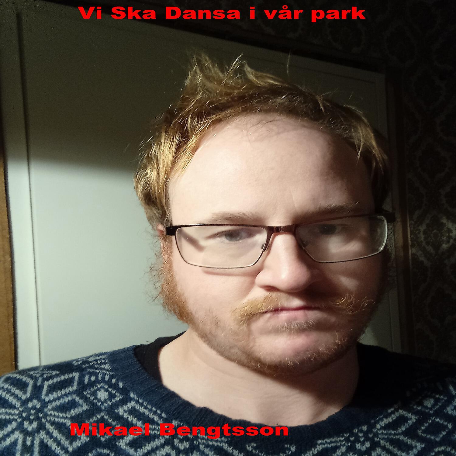 Релиз Vi Ska Dansa I Vår Park