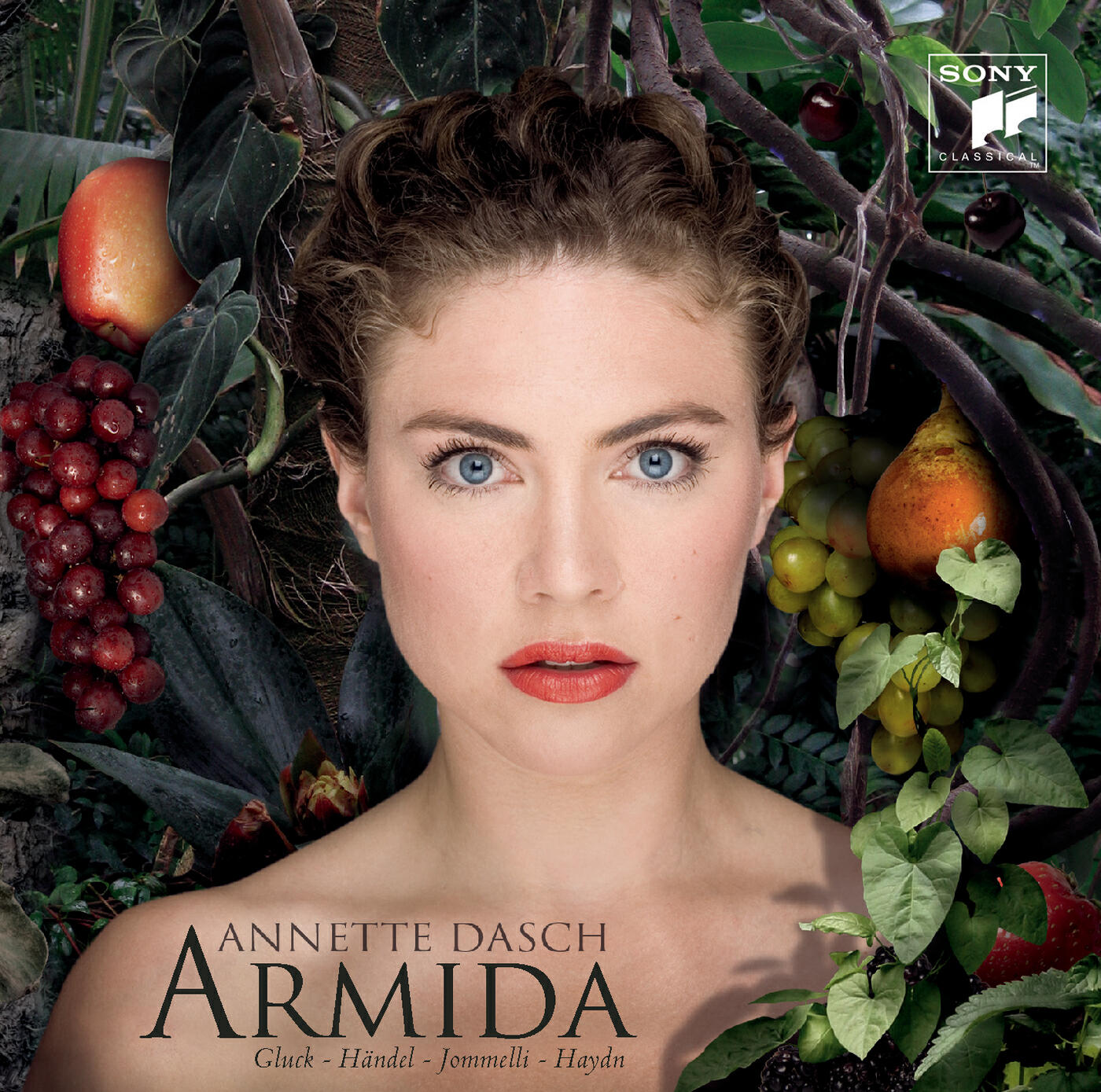 Релиз Armida