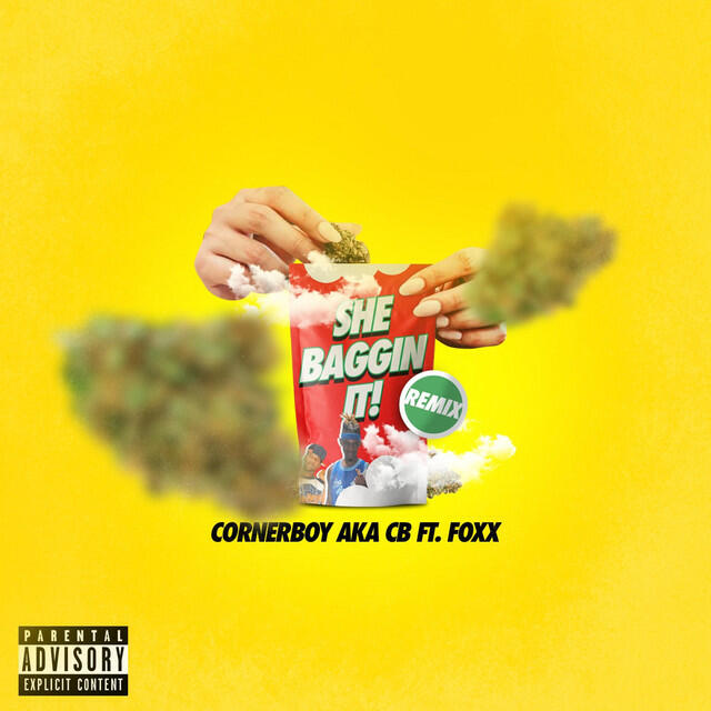 Релиз She Baggin' It Up (remix)
