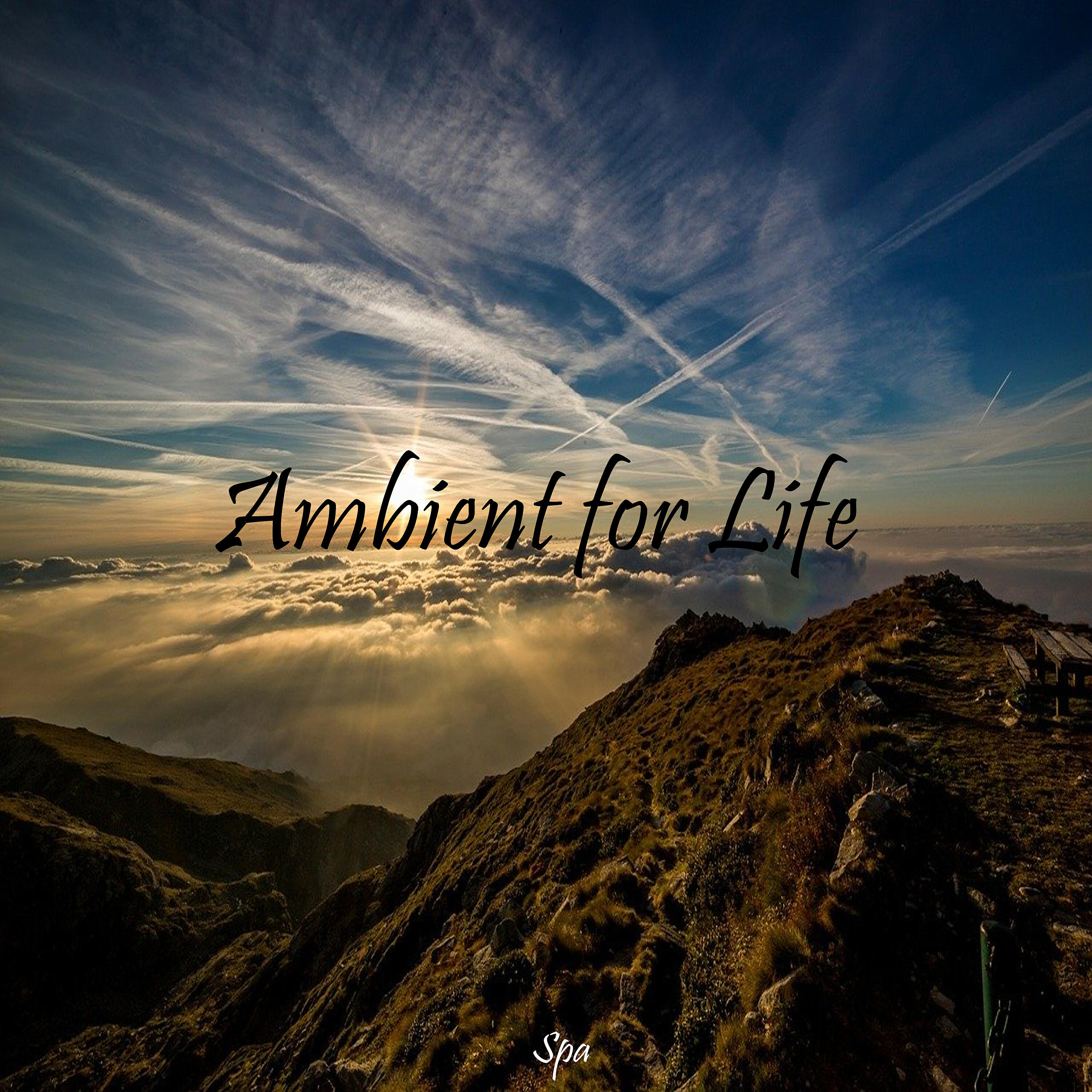 Релиз Ambient for Life