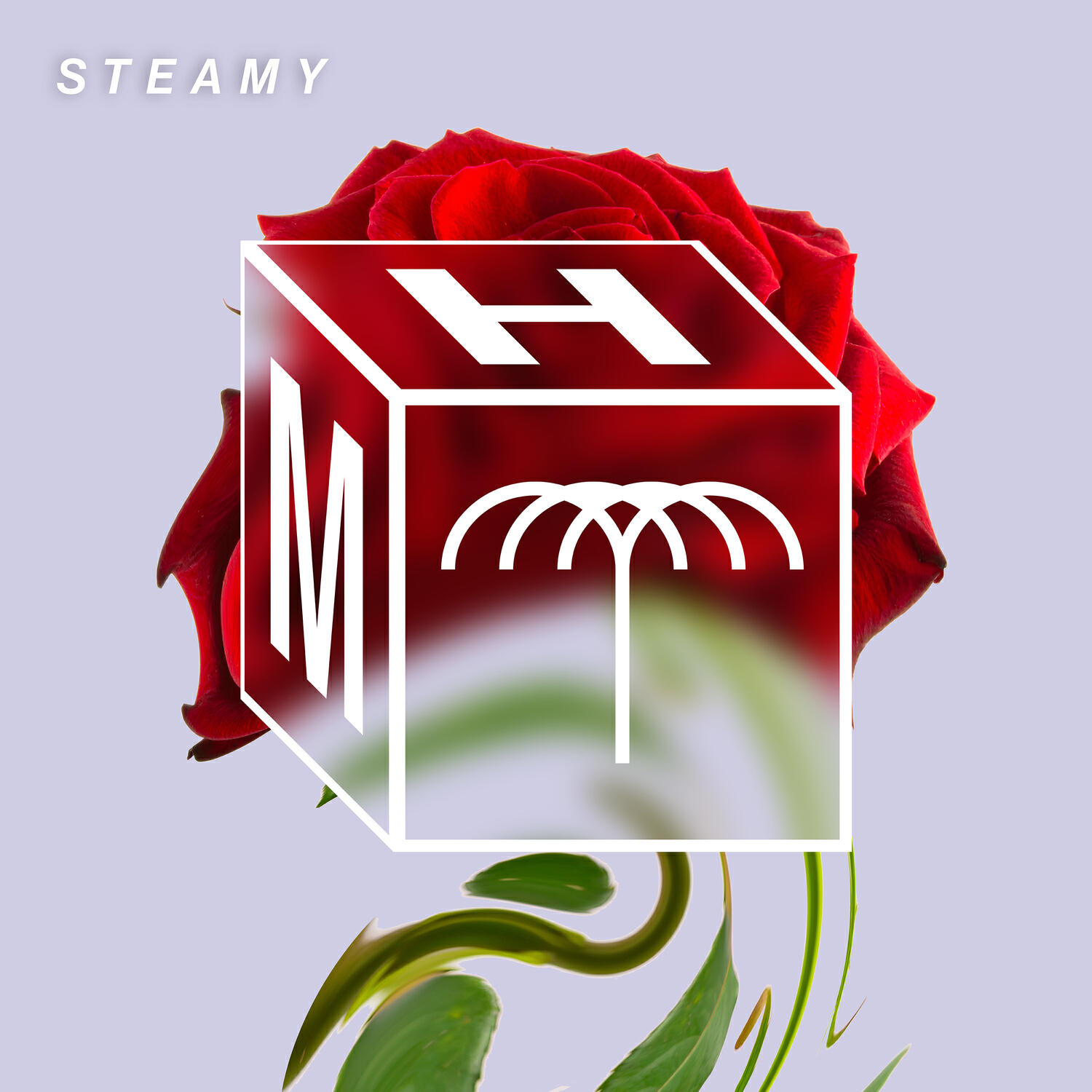 Постер альбома Steamy
