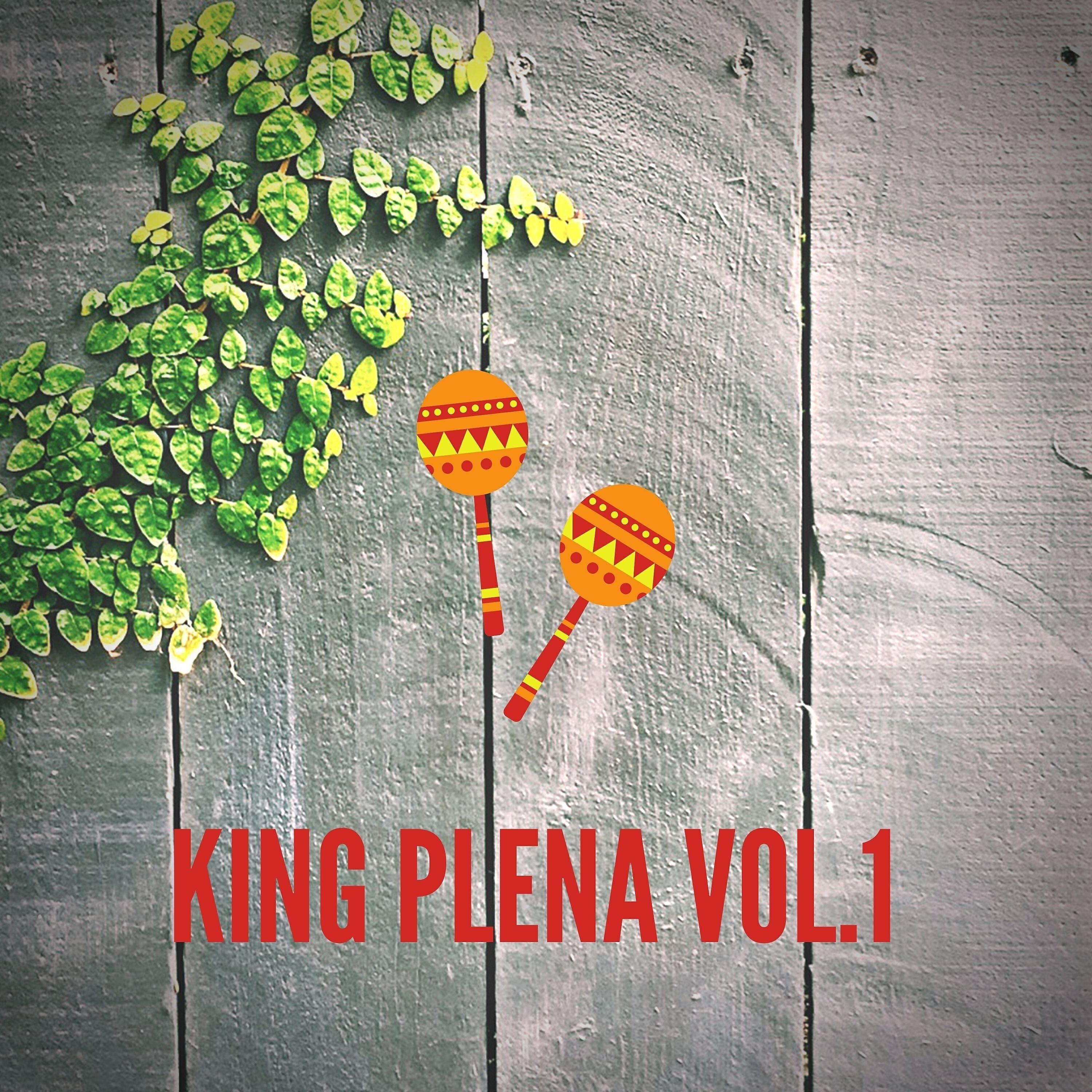 Релиз King Plena Vol. 1