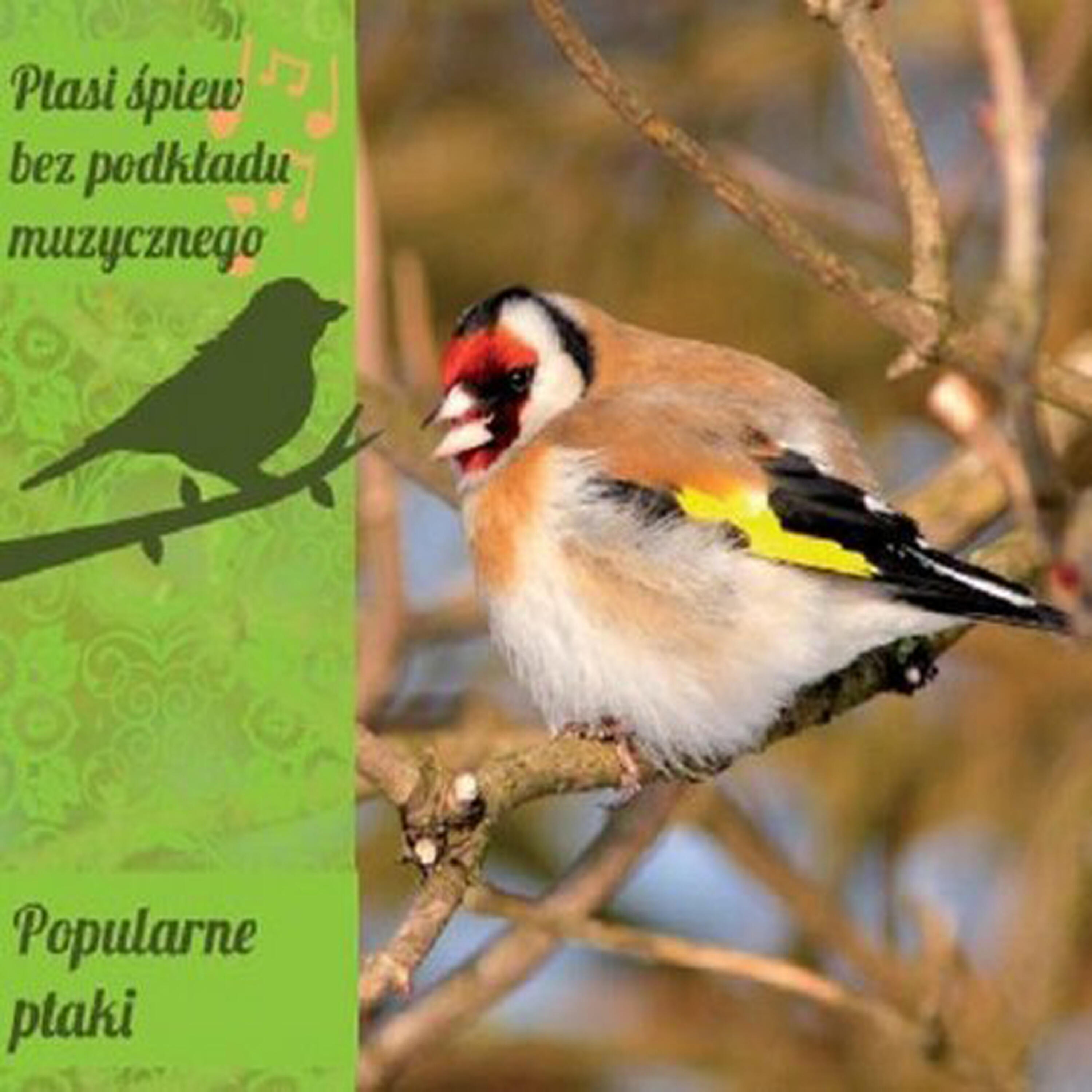 Релиз Songs and Calls of Popular Polish Birds
