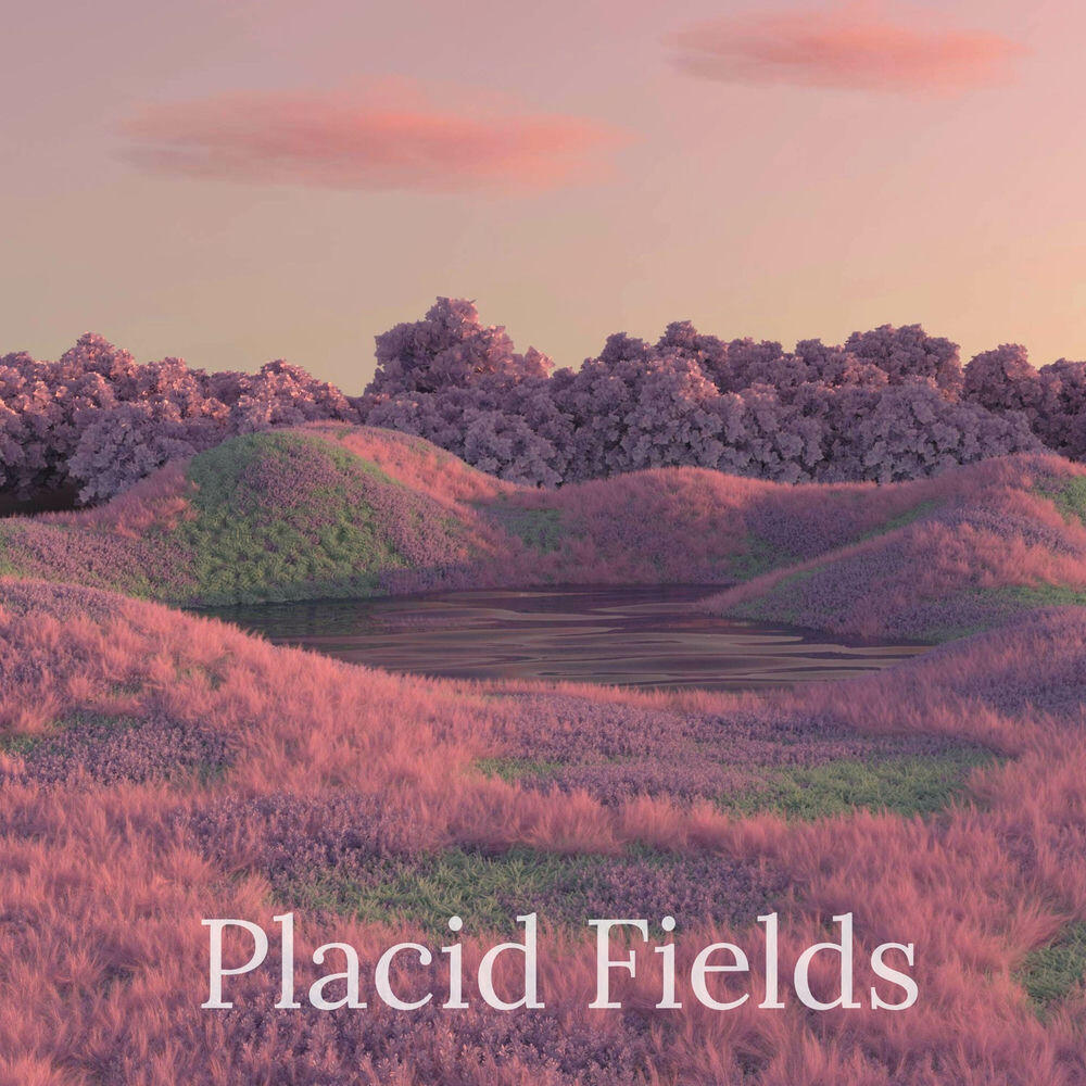 Релиз Placid Fields
