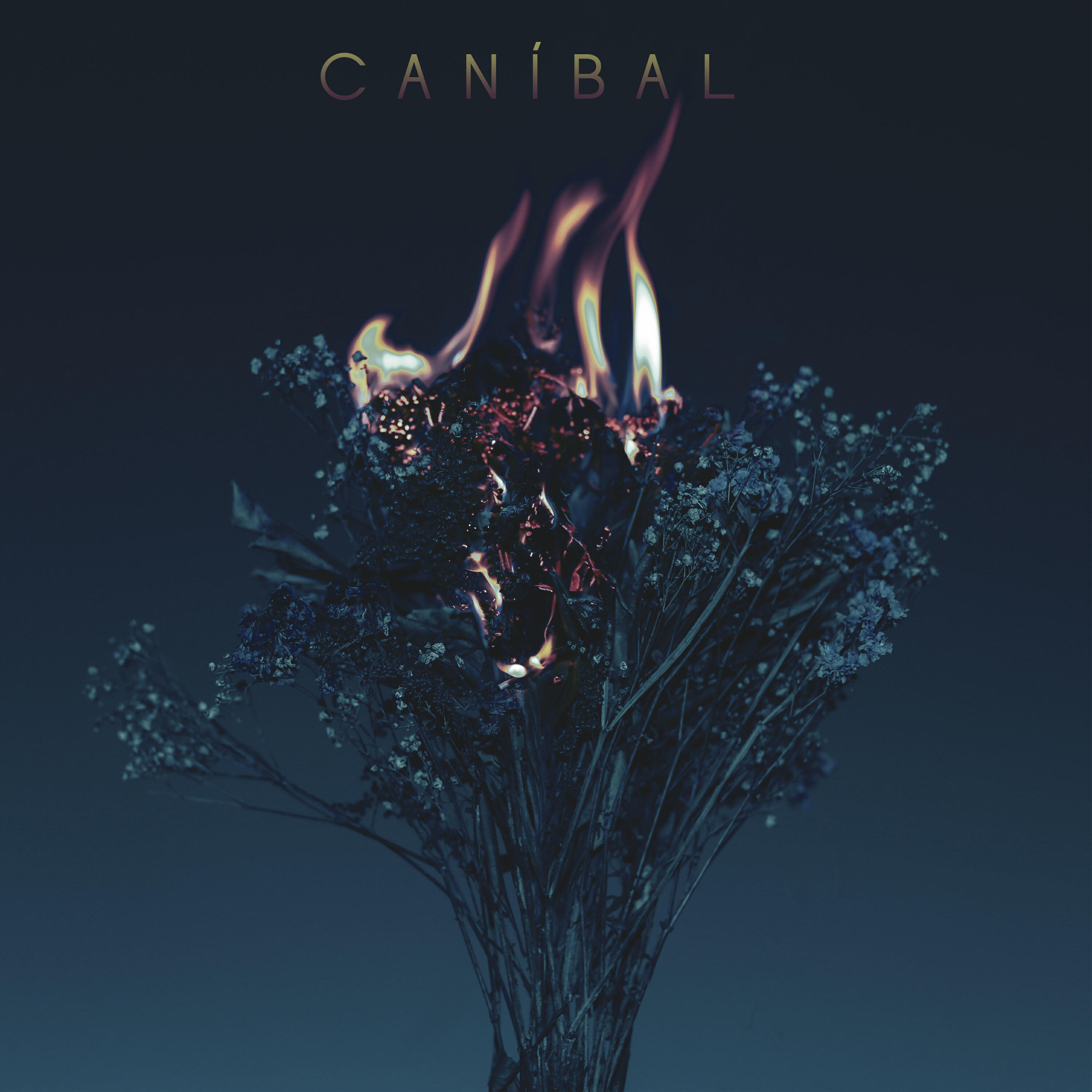 Релиз Caníbal