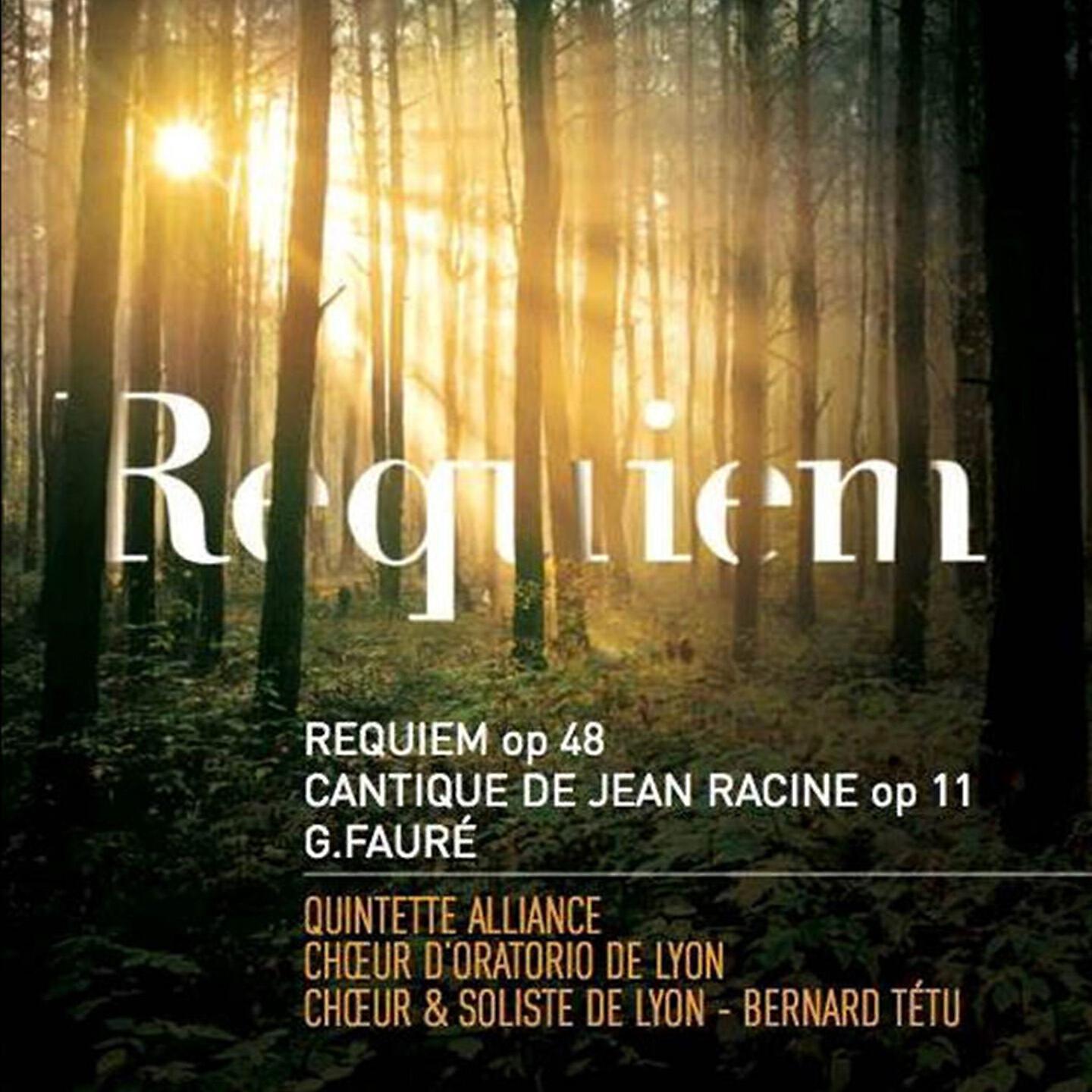 Релиз Requiem