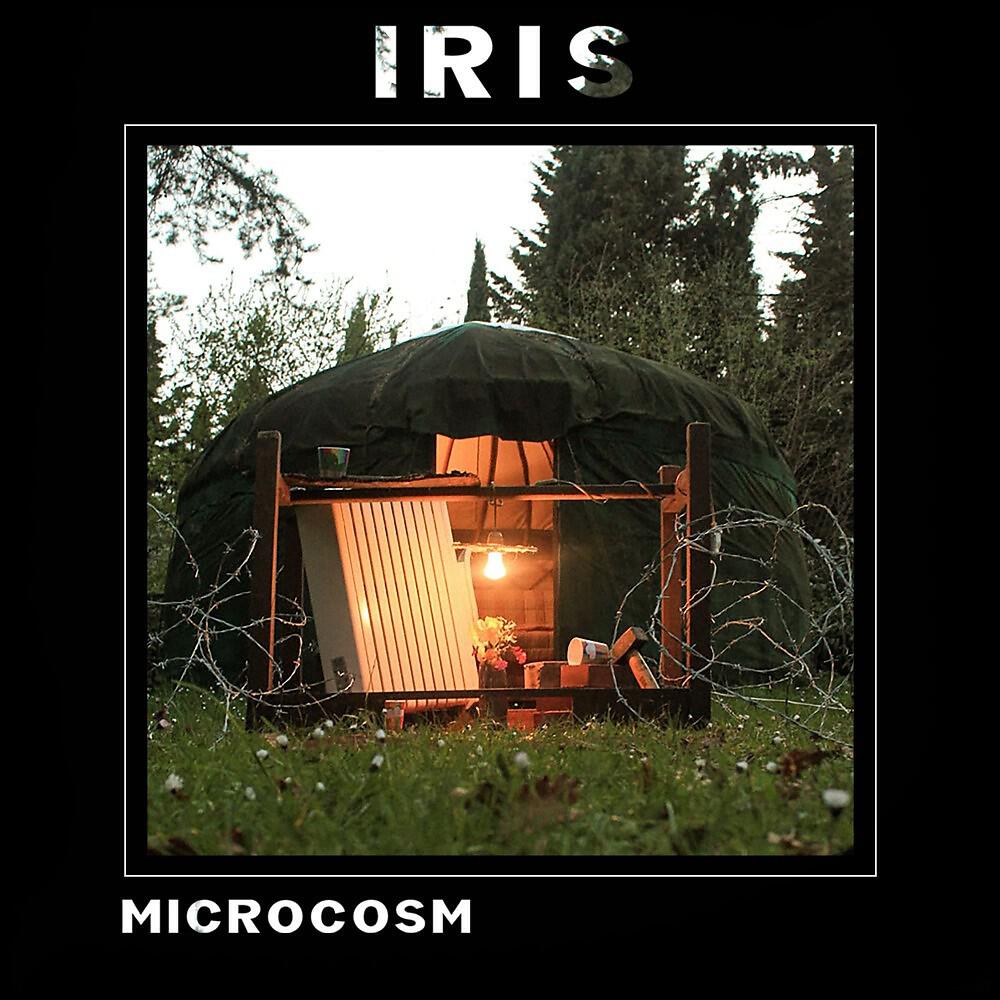 Релиз Microcosm