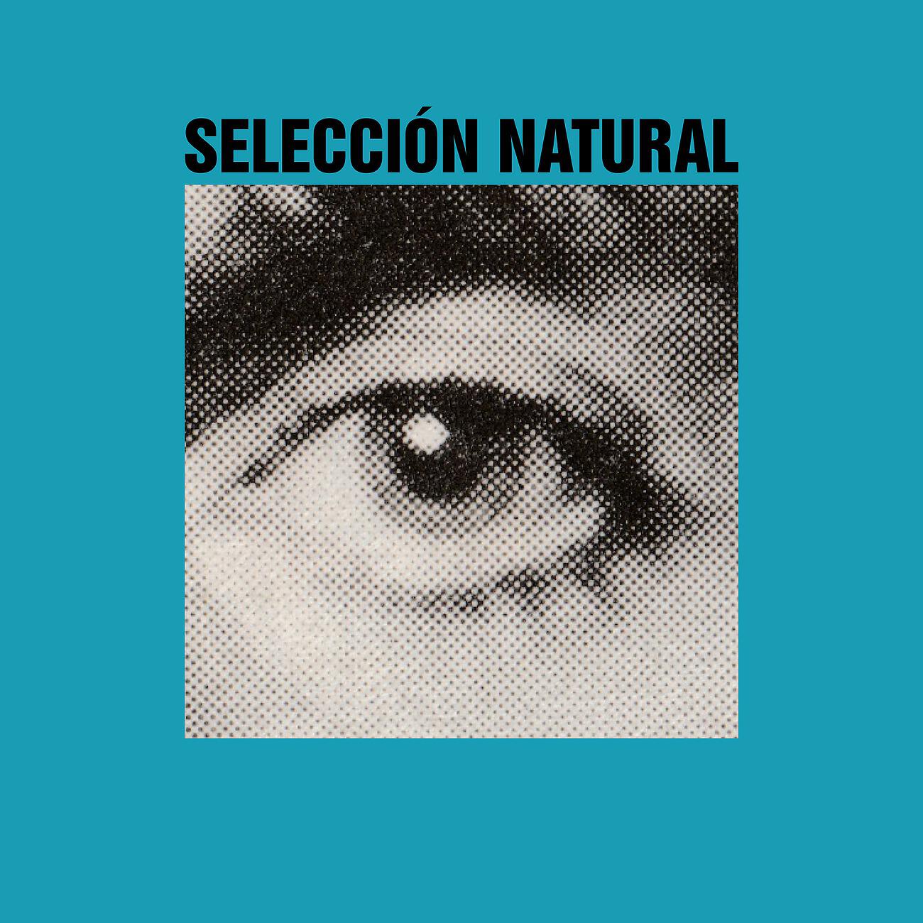 Релиз Split Didactics EP