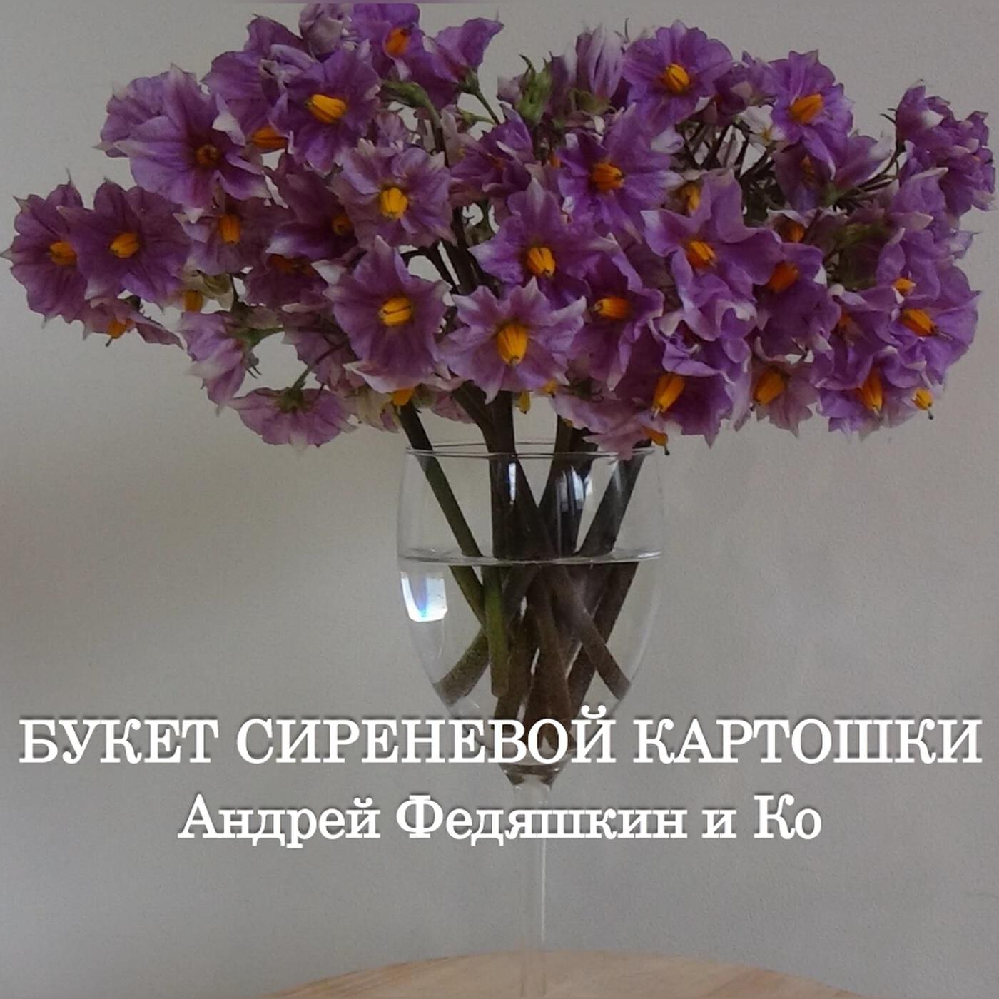 Постер альбома Букет сиреневой картошки