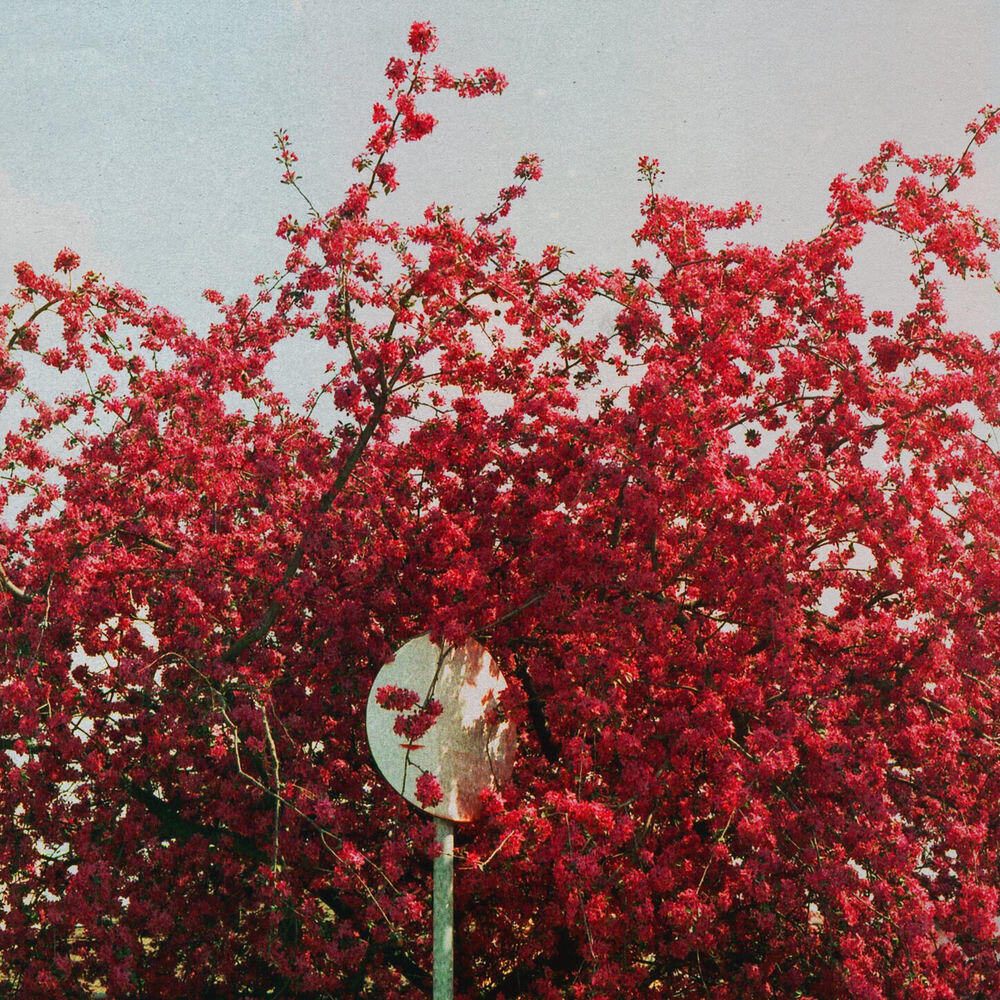 Релиз autumn nights