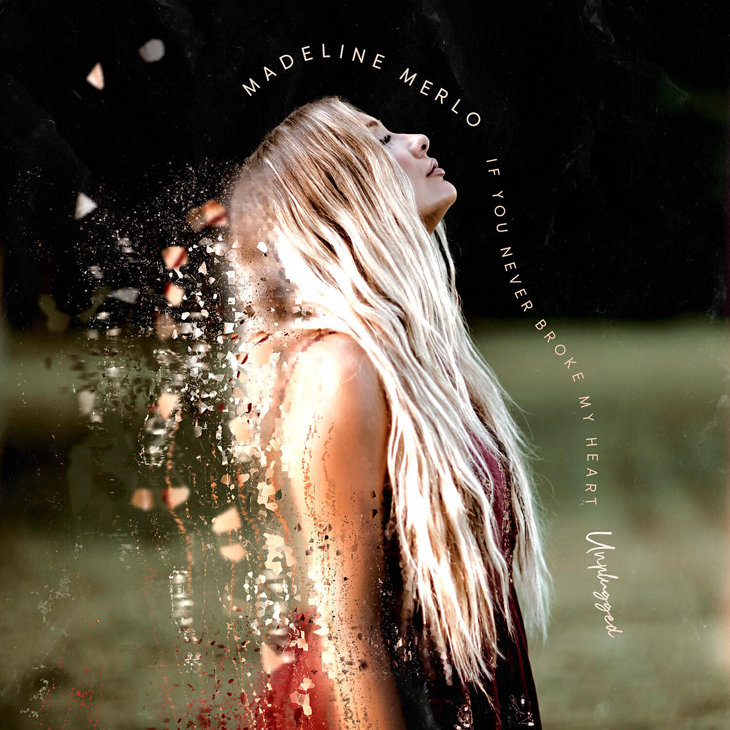 Релиз If You Never Broke My Heart (Unplugged)