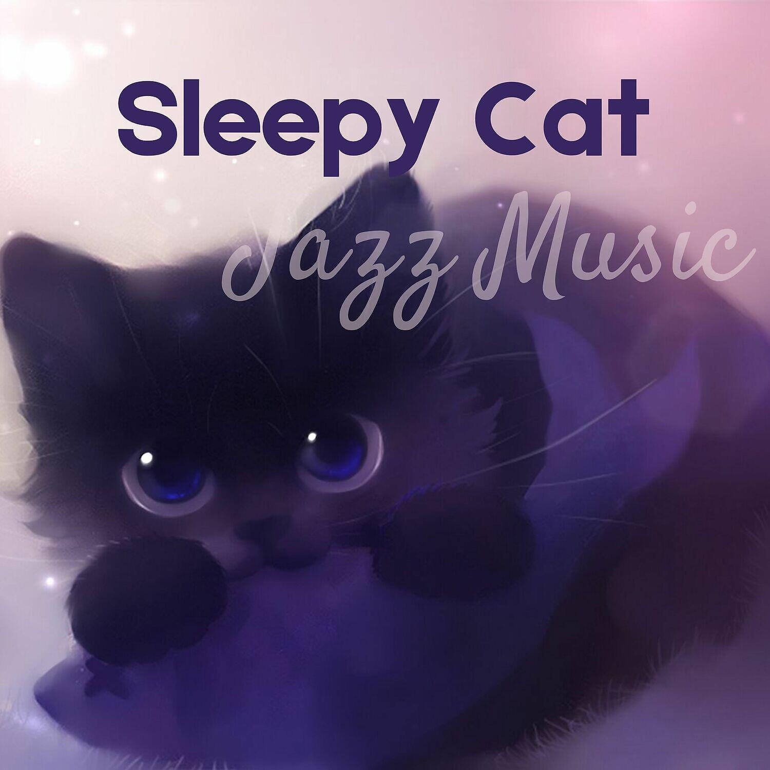 Релиз Sleepy Cat Jazz Music
