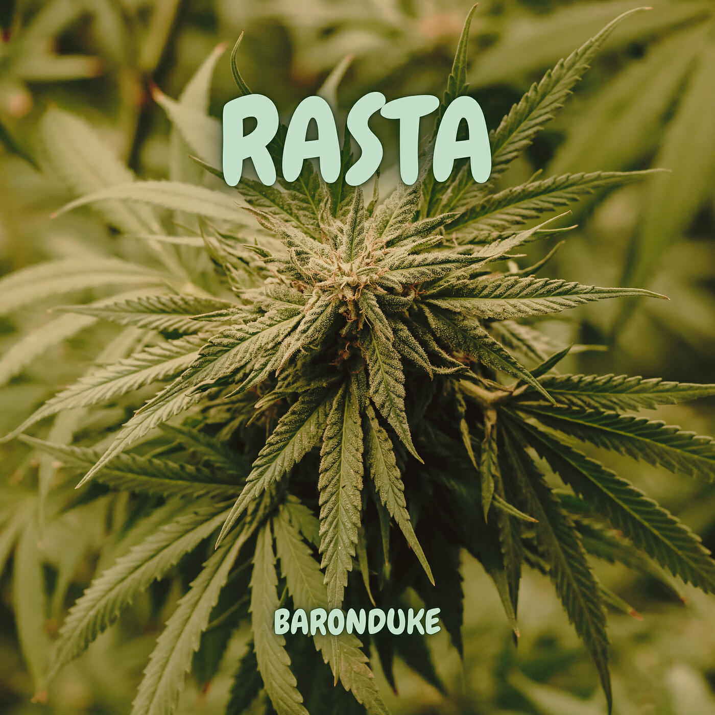 Релиз Rasta