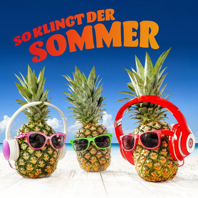 Релиз So klingt der Sommer