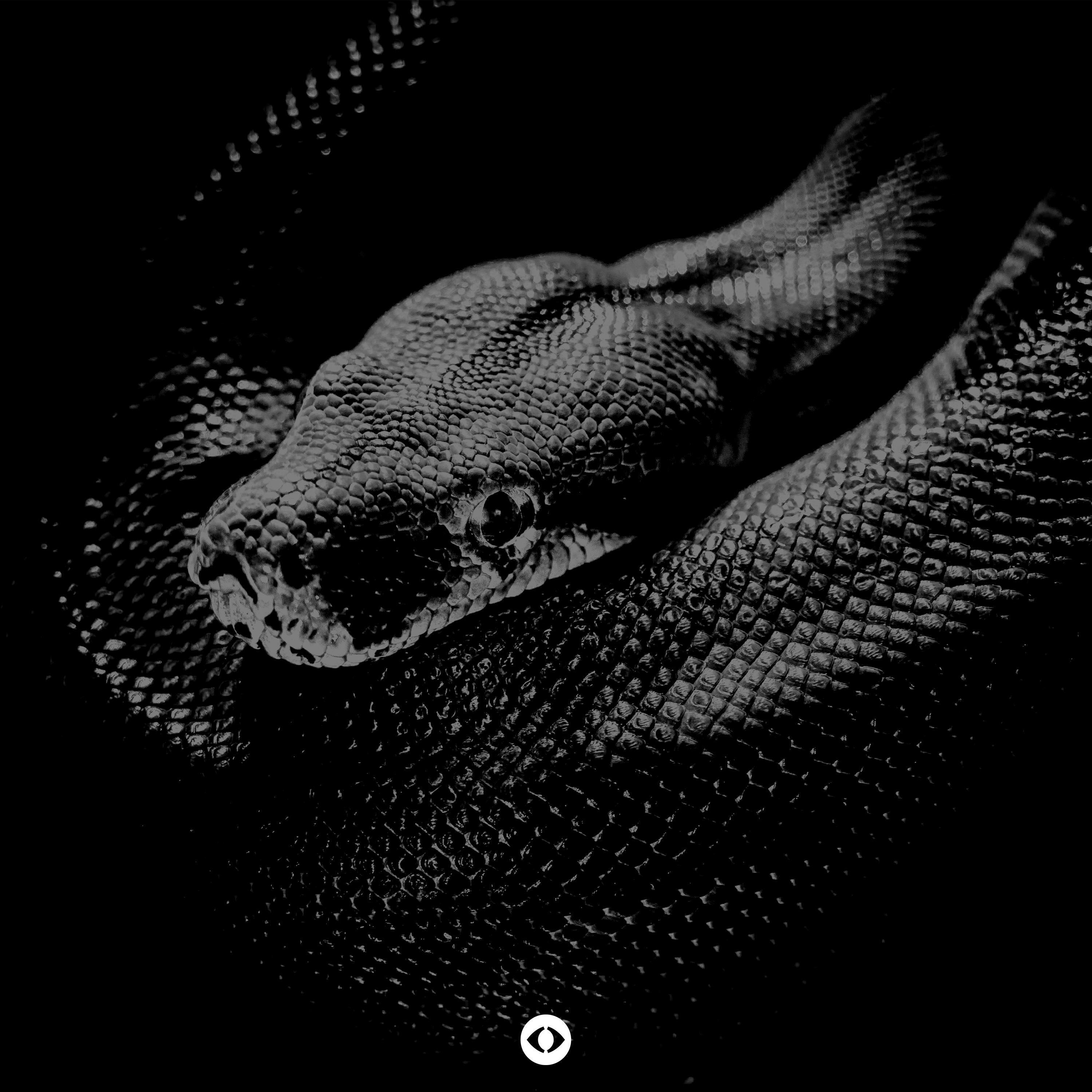 Релиз Snake