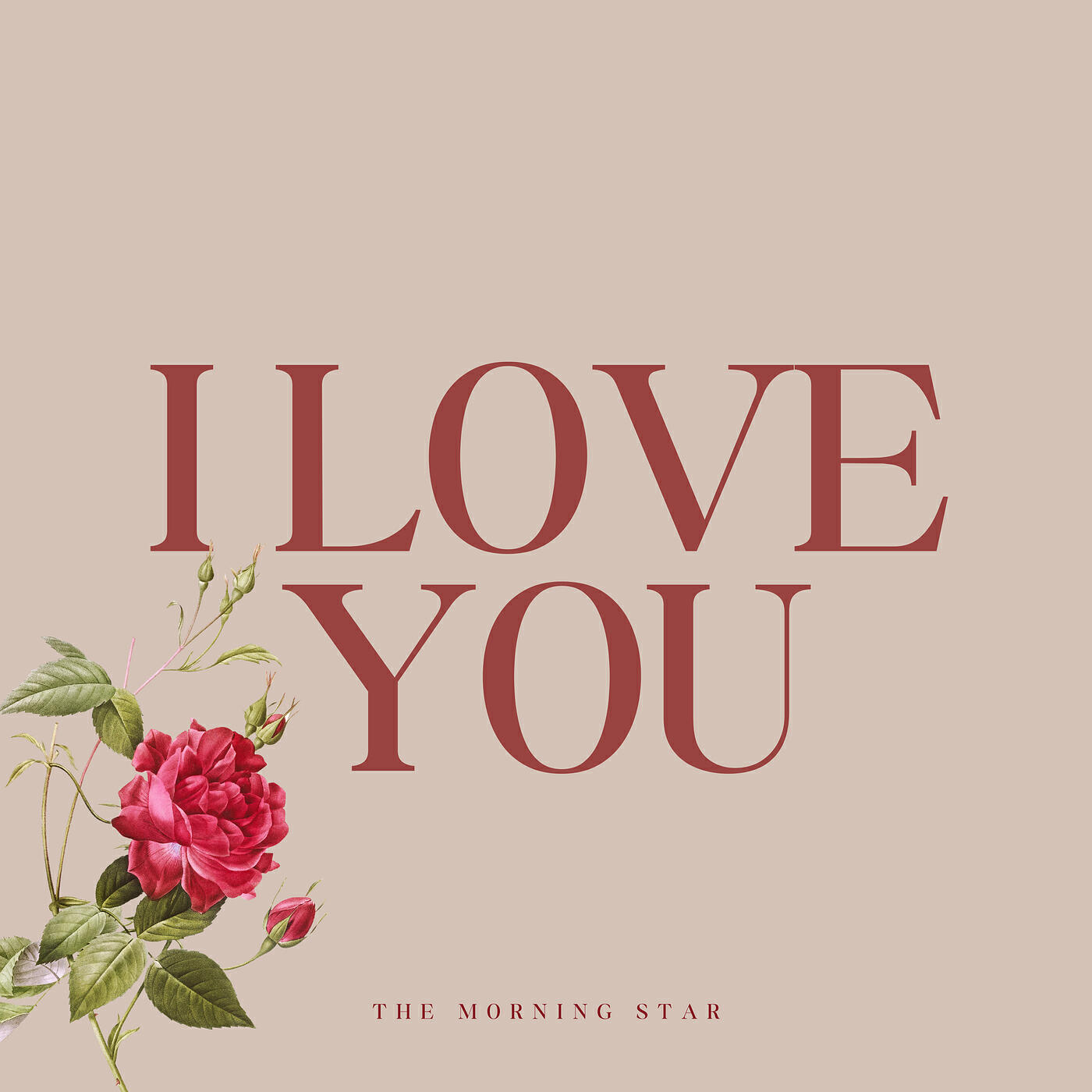 Релиз I Love You