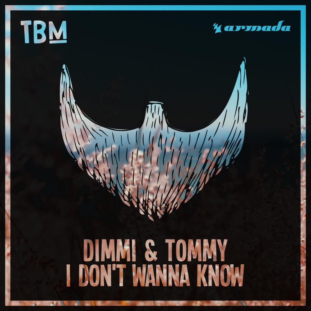 Релиз I Don't Wanna Know