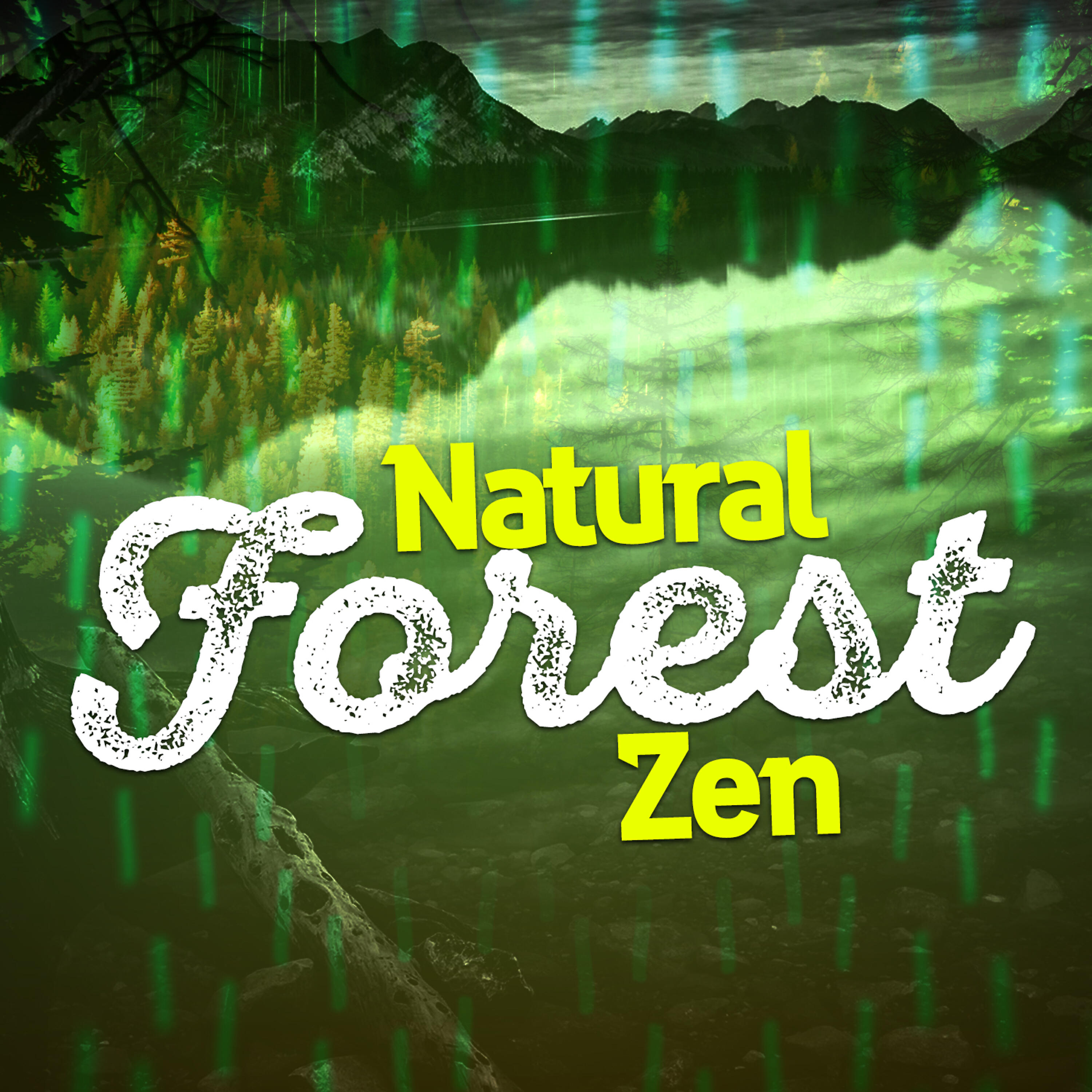 Релиз Natural Forest Zen