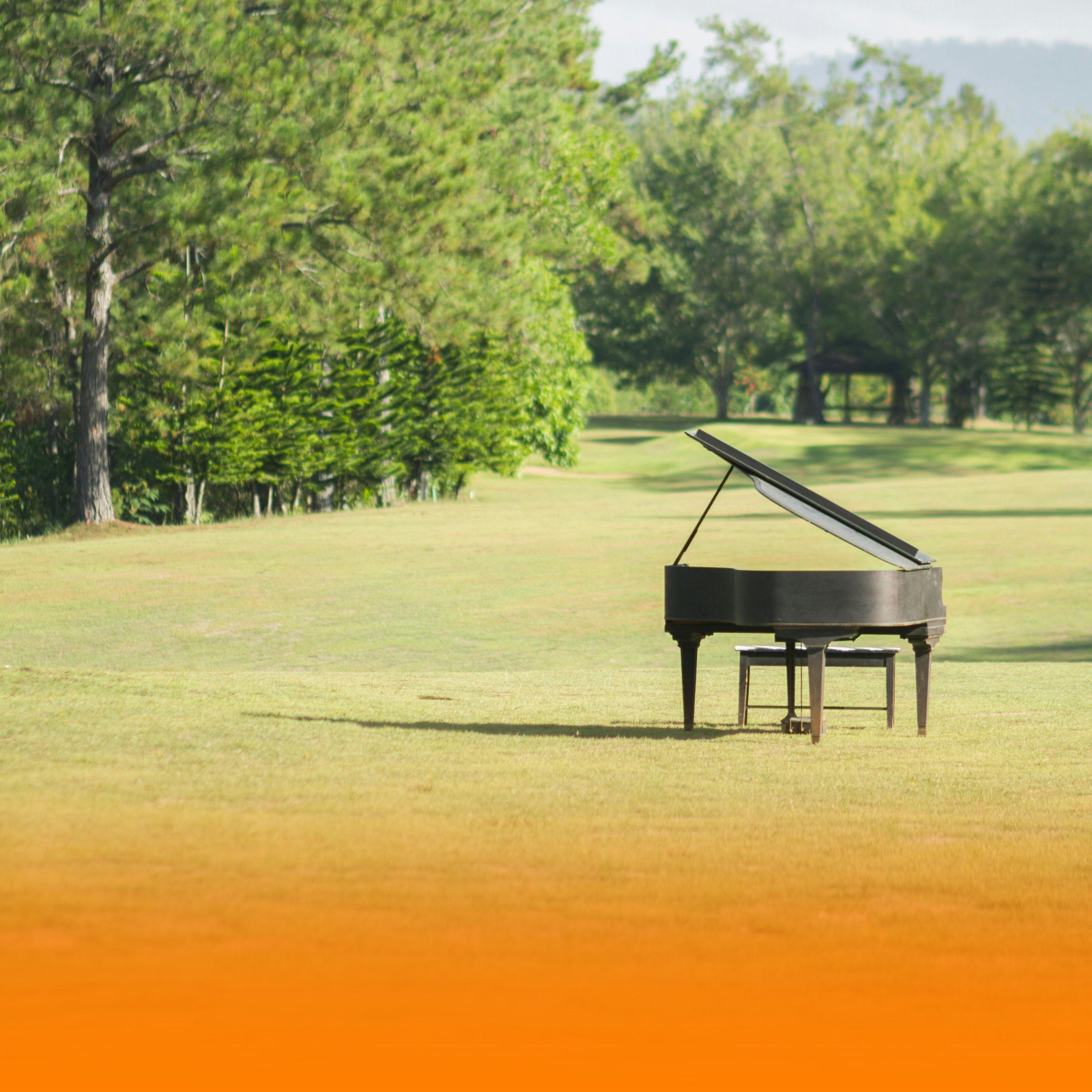 Релиз Soothing Piano And Gentle Harp With Ambient Music And Nature Sounds For Deep Sleep And Anxiety Reduction
