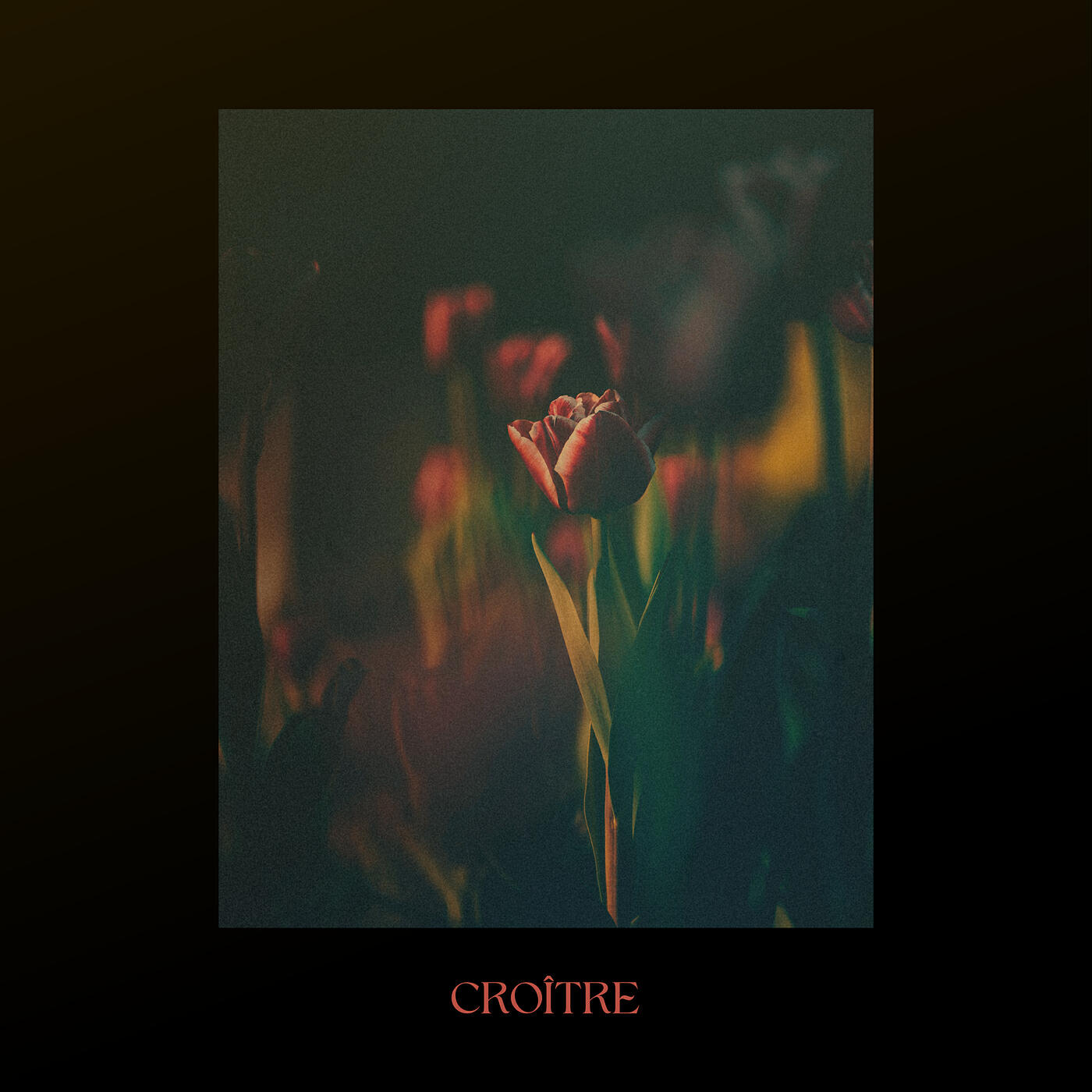 Релиз Croître