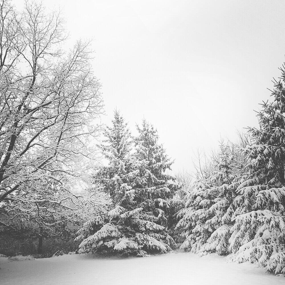 Релиз Christmas 2018 Holiday Music Winter Special