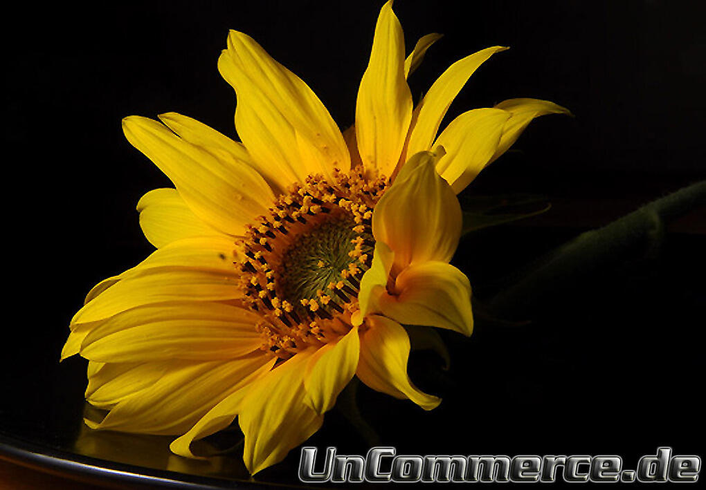 Uncommerce