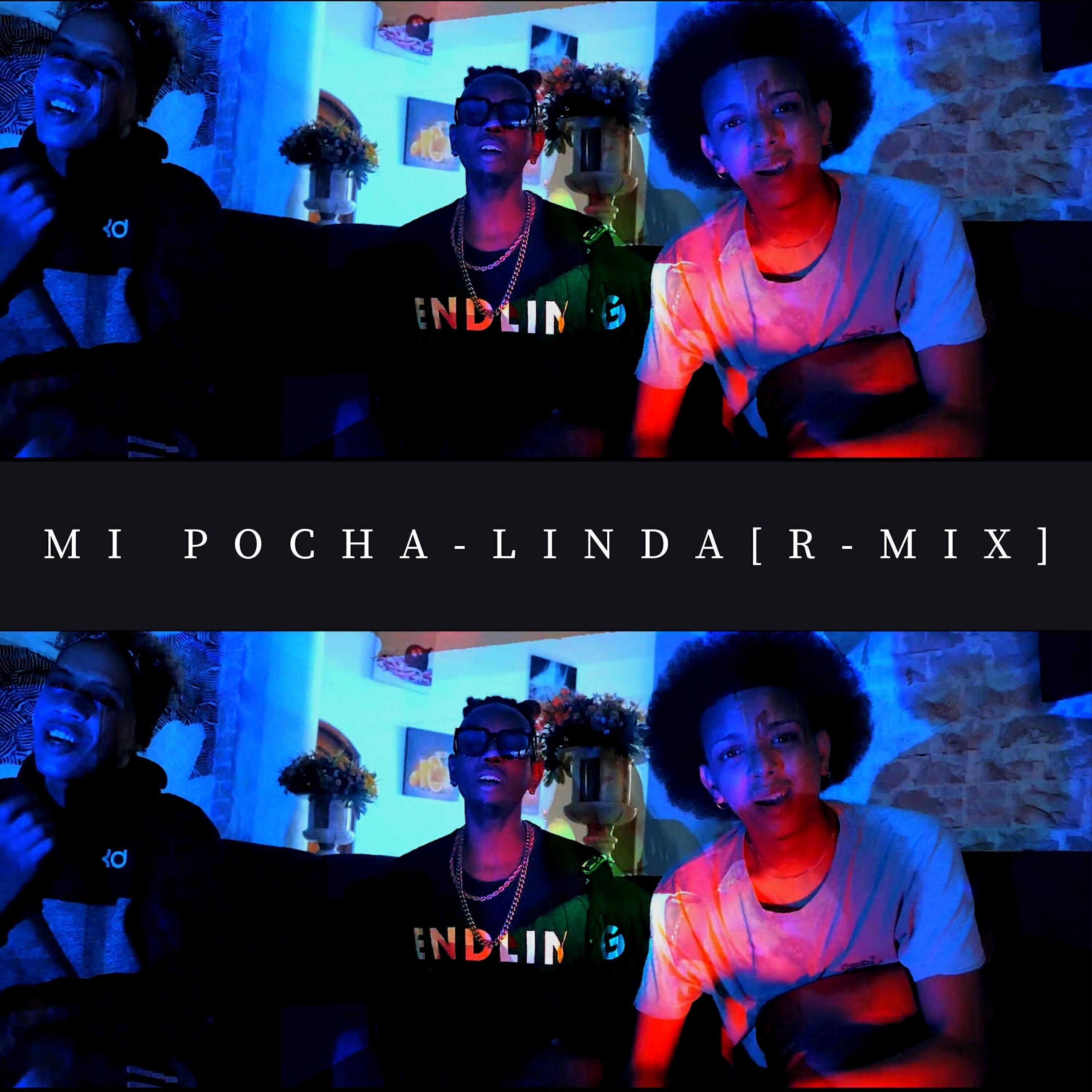 Релиз Mi Pocha Linda (R-mix)