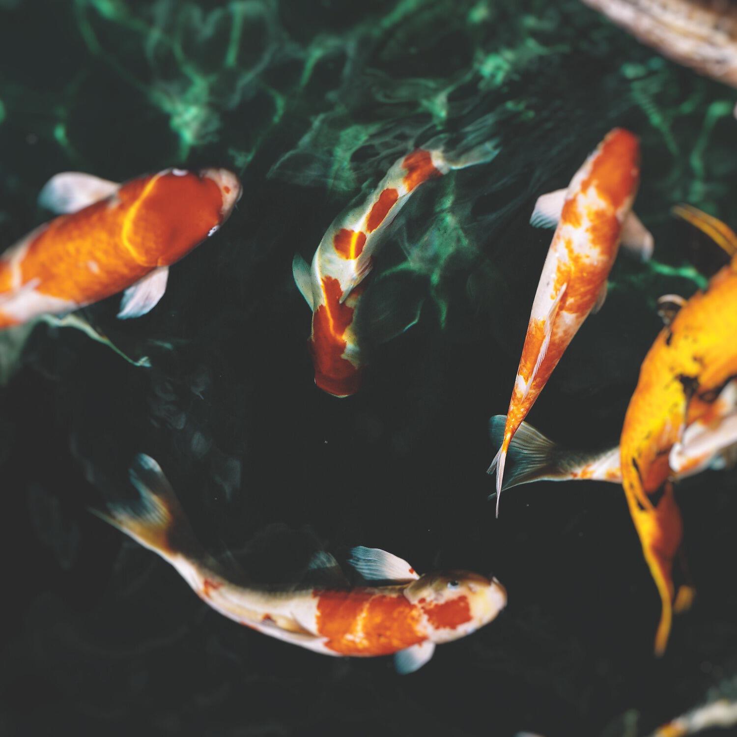 Релиз Underwater