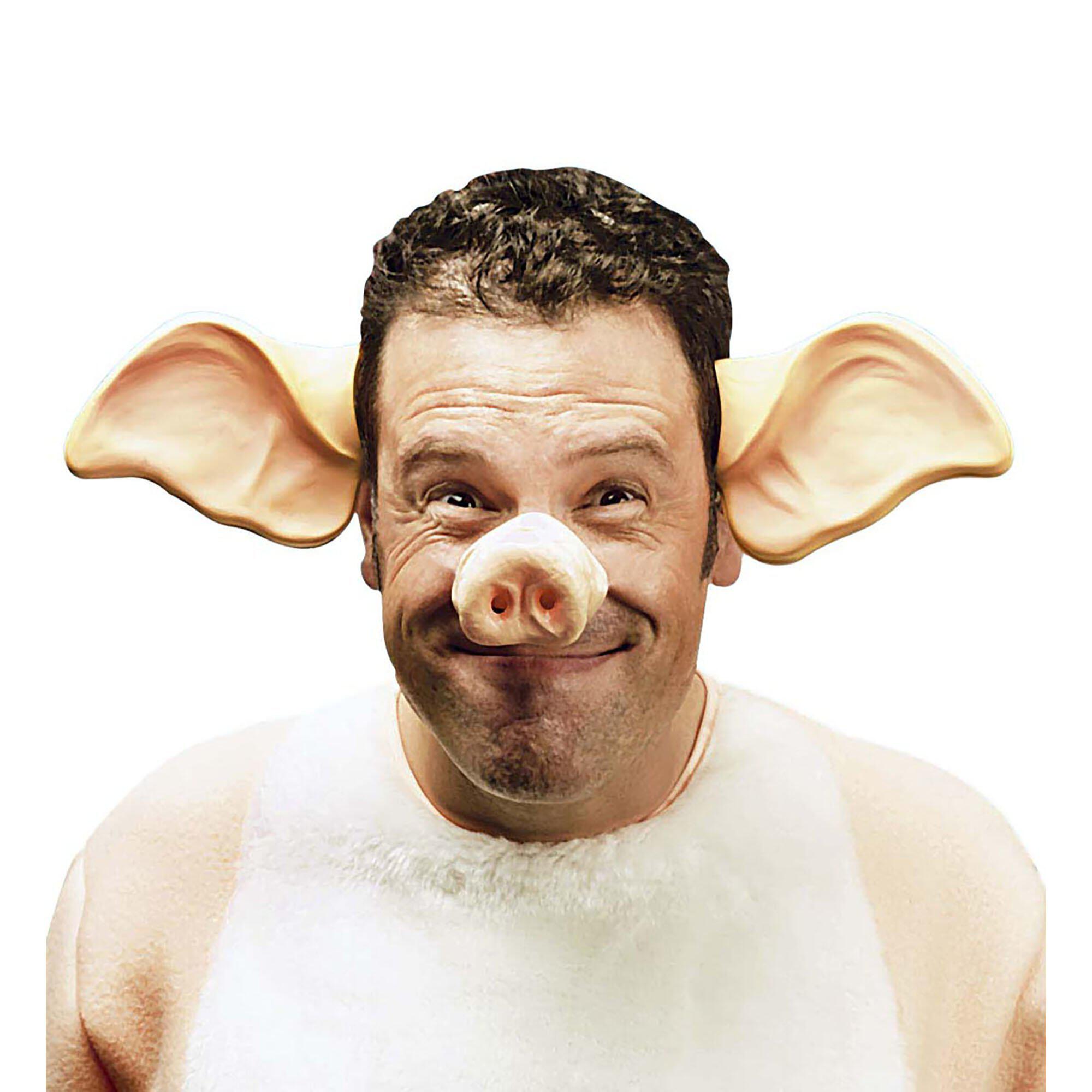 Релиз Bad Piggies
