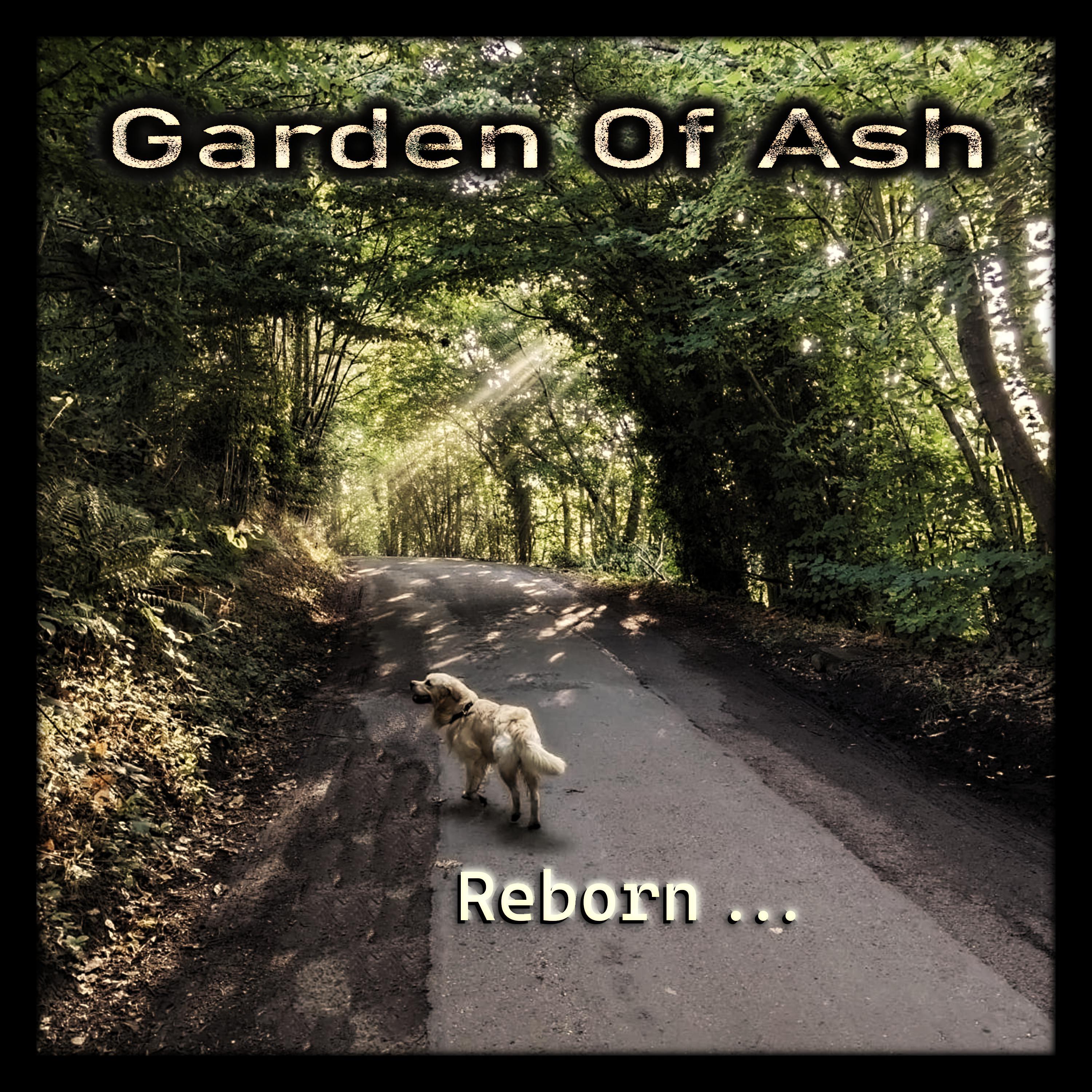 Garden Of Ash