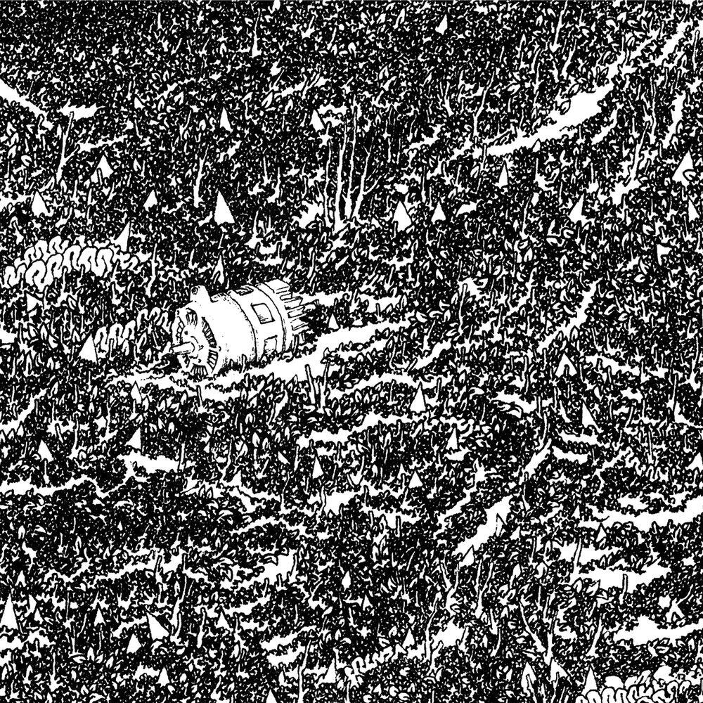 Релиз Hypnagogic Polish Music For Teenage Mutants