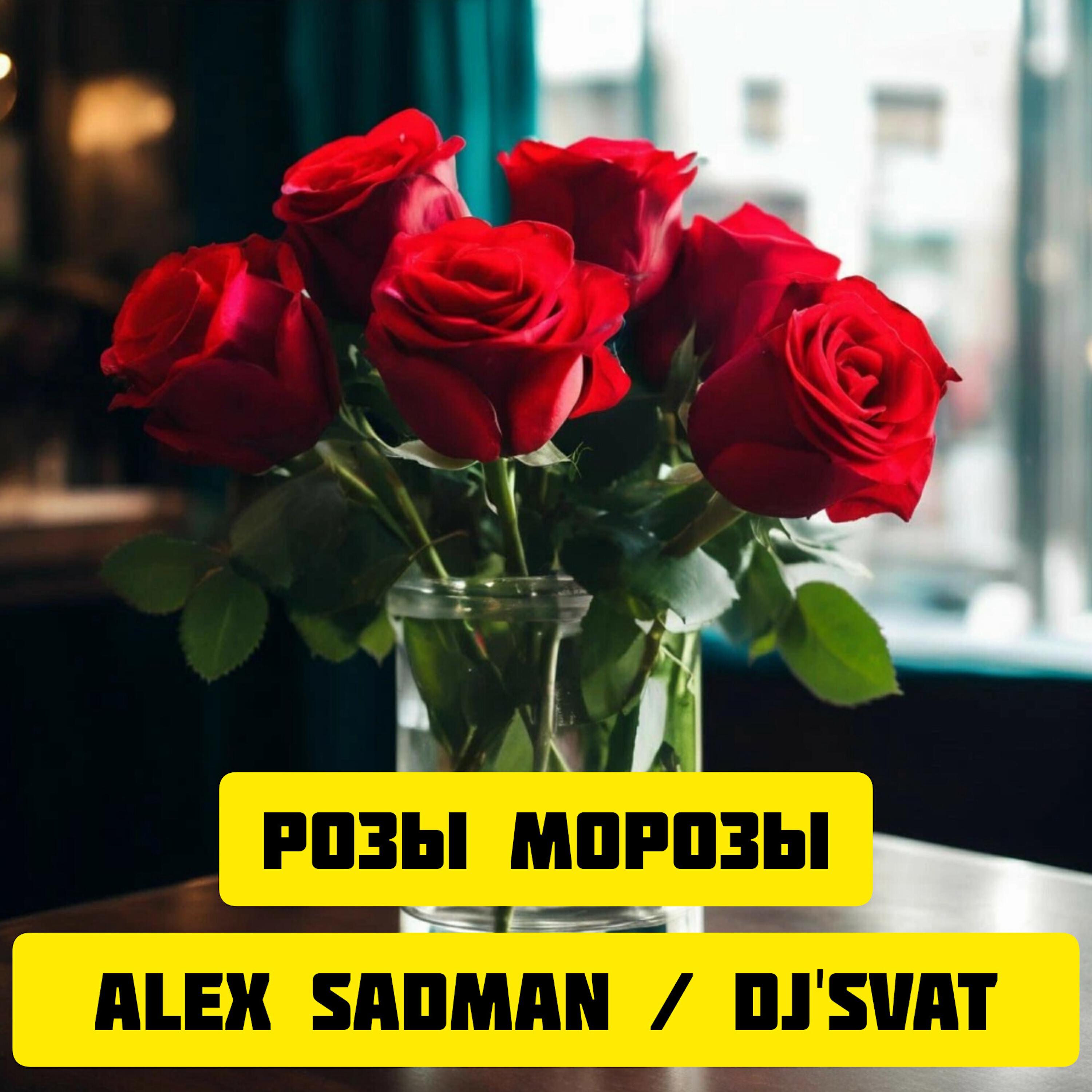Релиз Розы Морозы