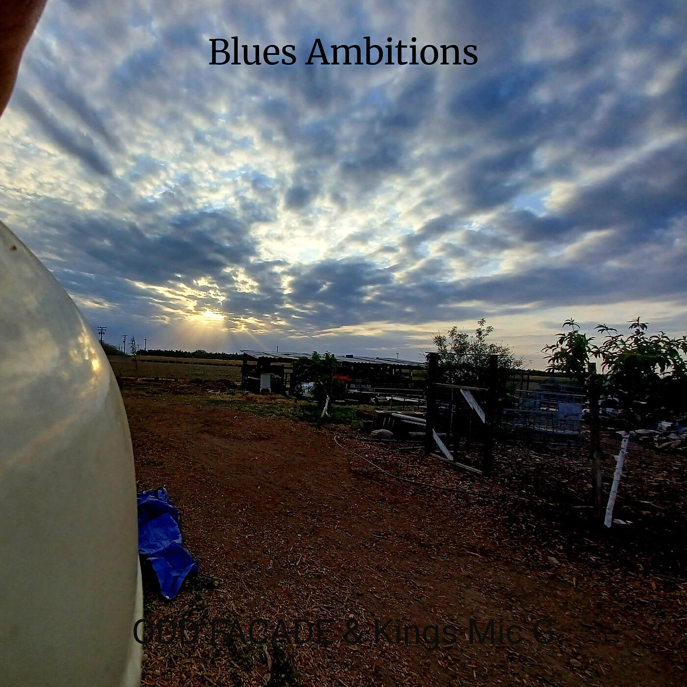 Релиз Blues Ambitions