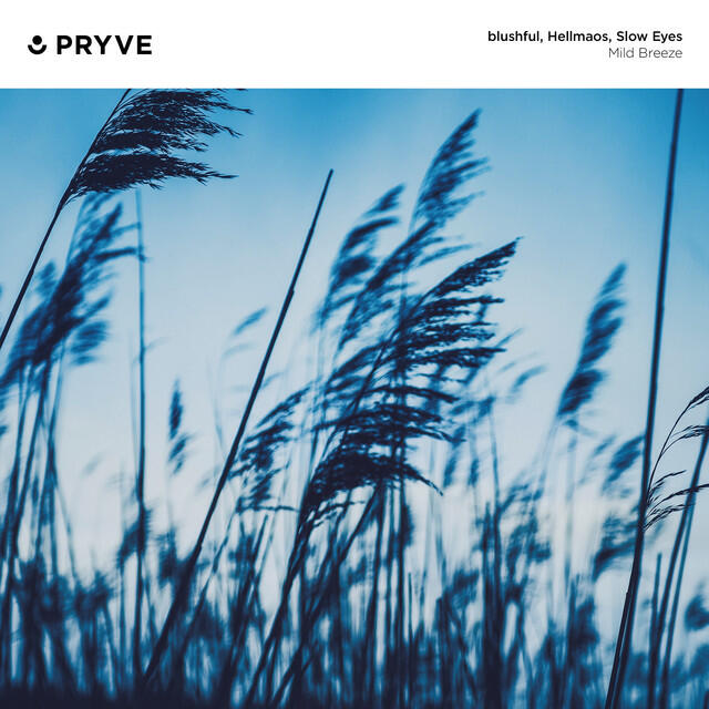 Релиз Mild Breeze