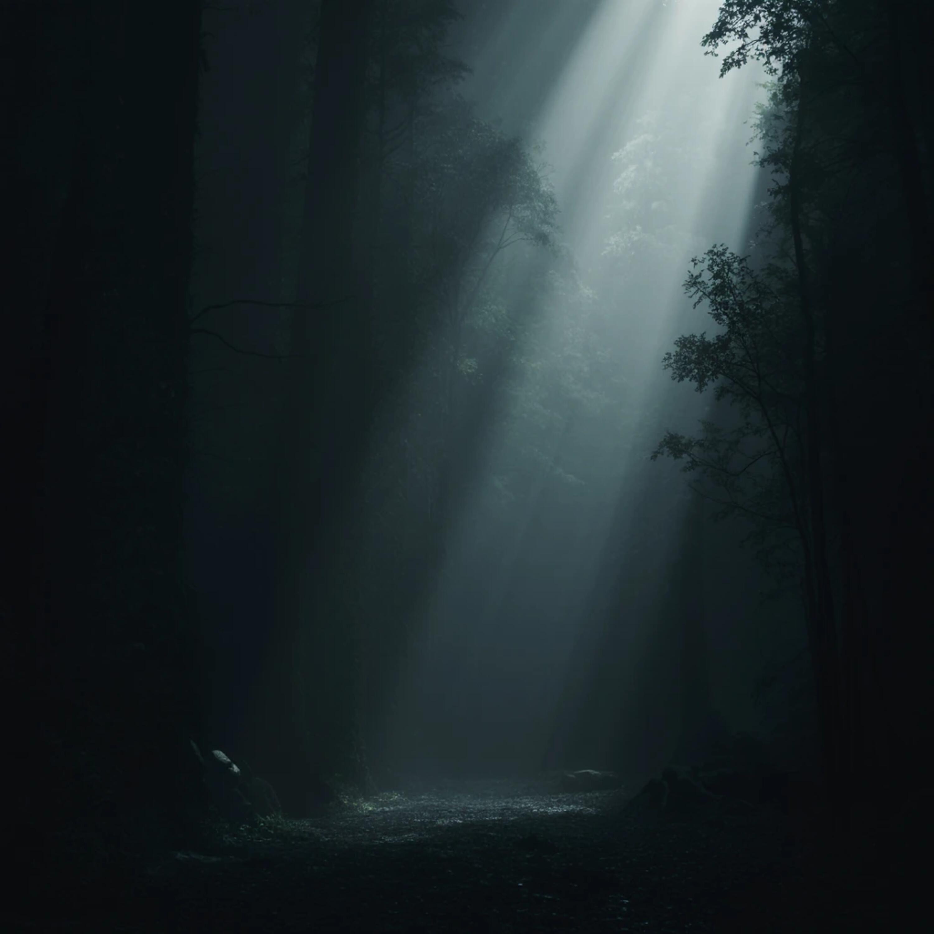 Релиз Ambient 12
