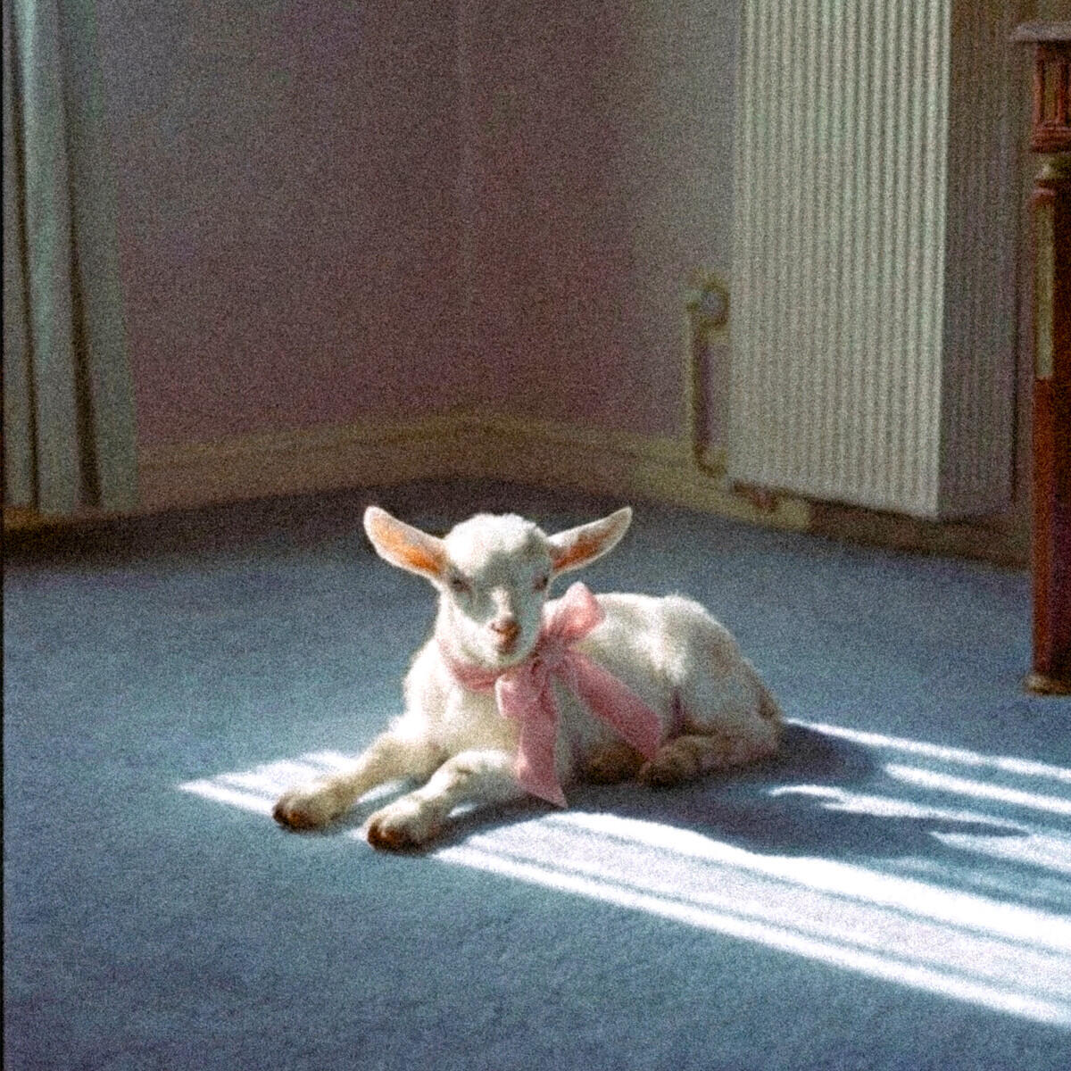 Релиз crybaby