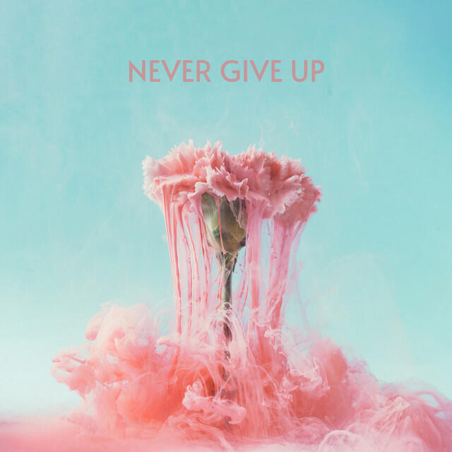 Релиз Never Give Up