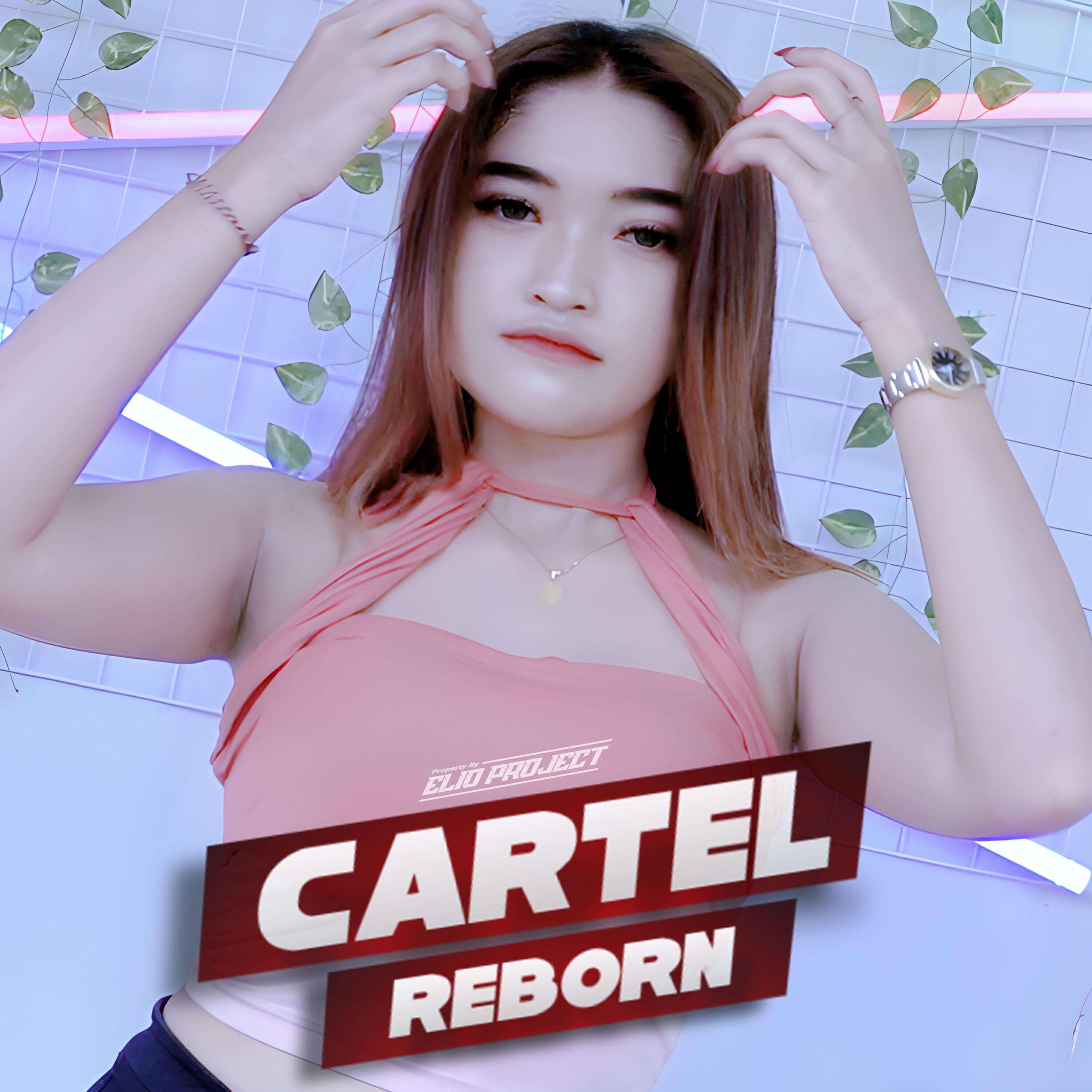Релиз CARTEL REBORN