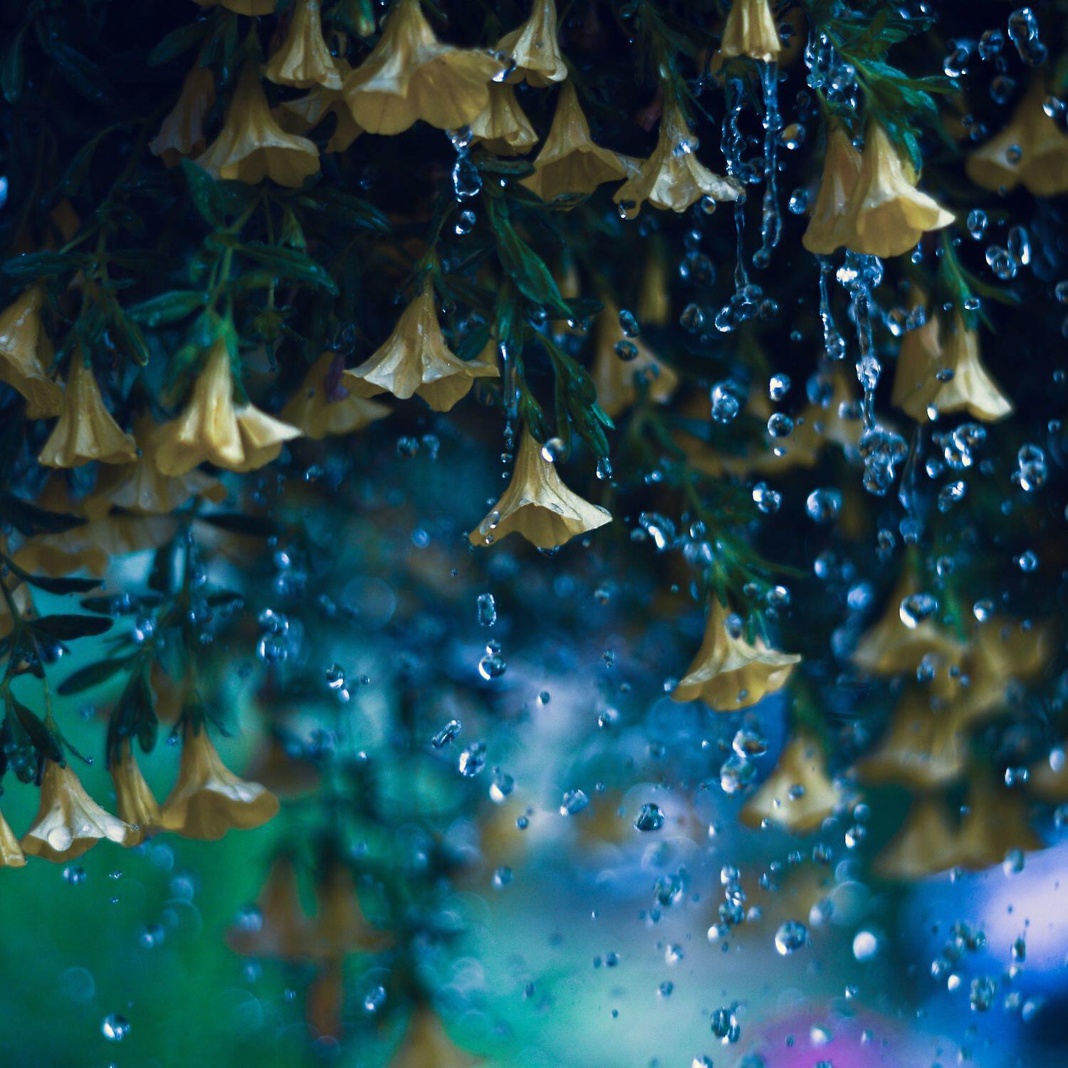 Релиз Sleepy Rainfall