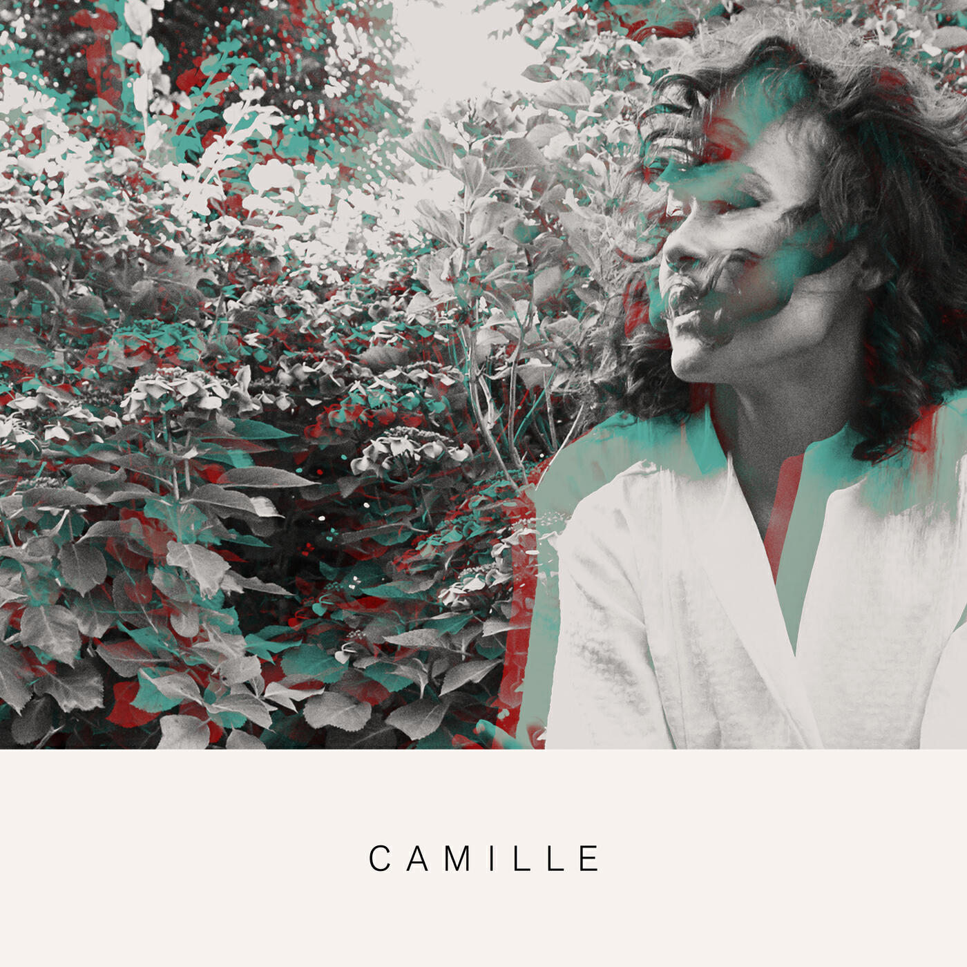 Постер альбома Camille