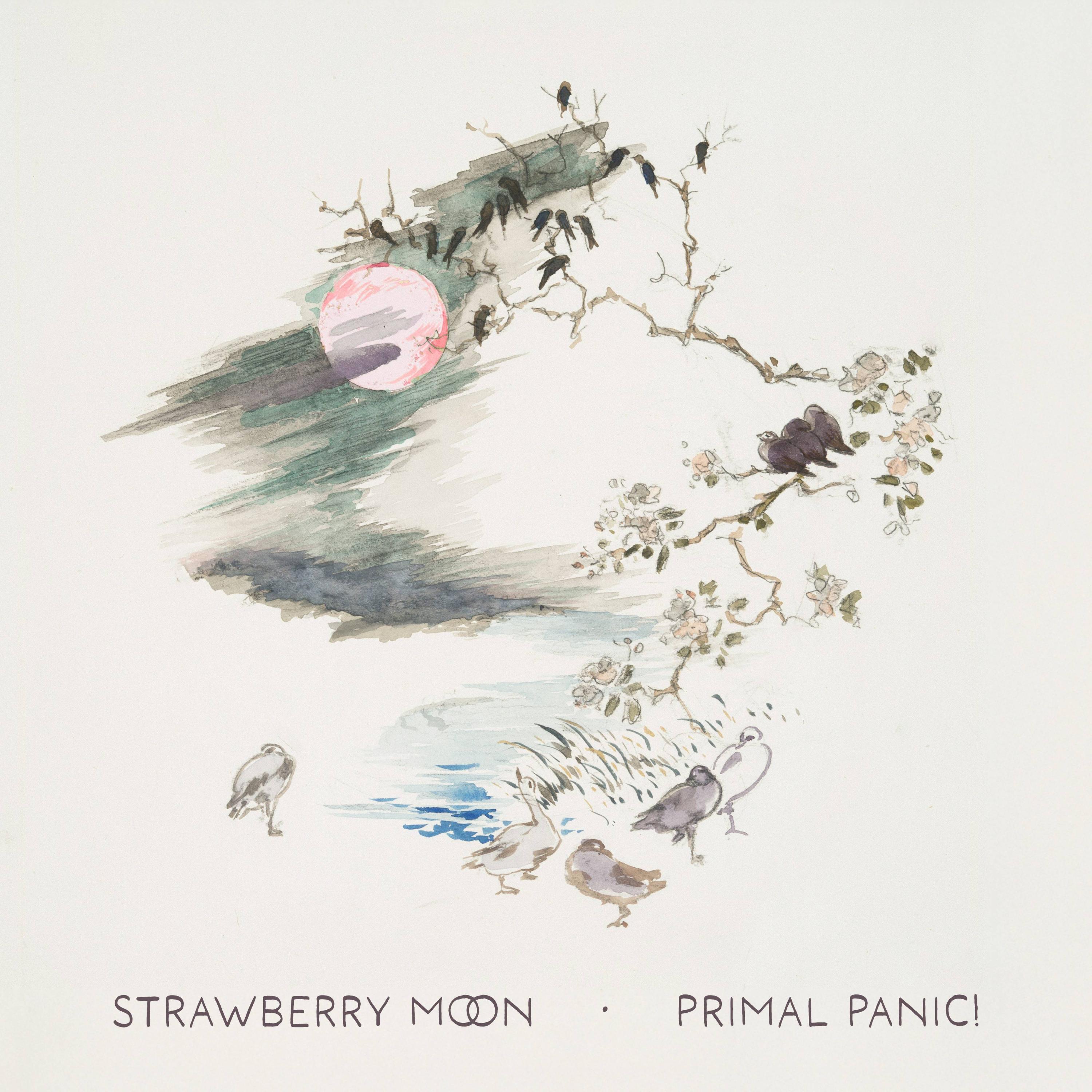 Primal Panic!