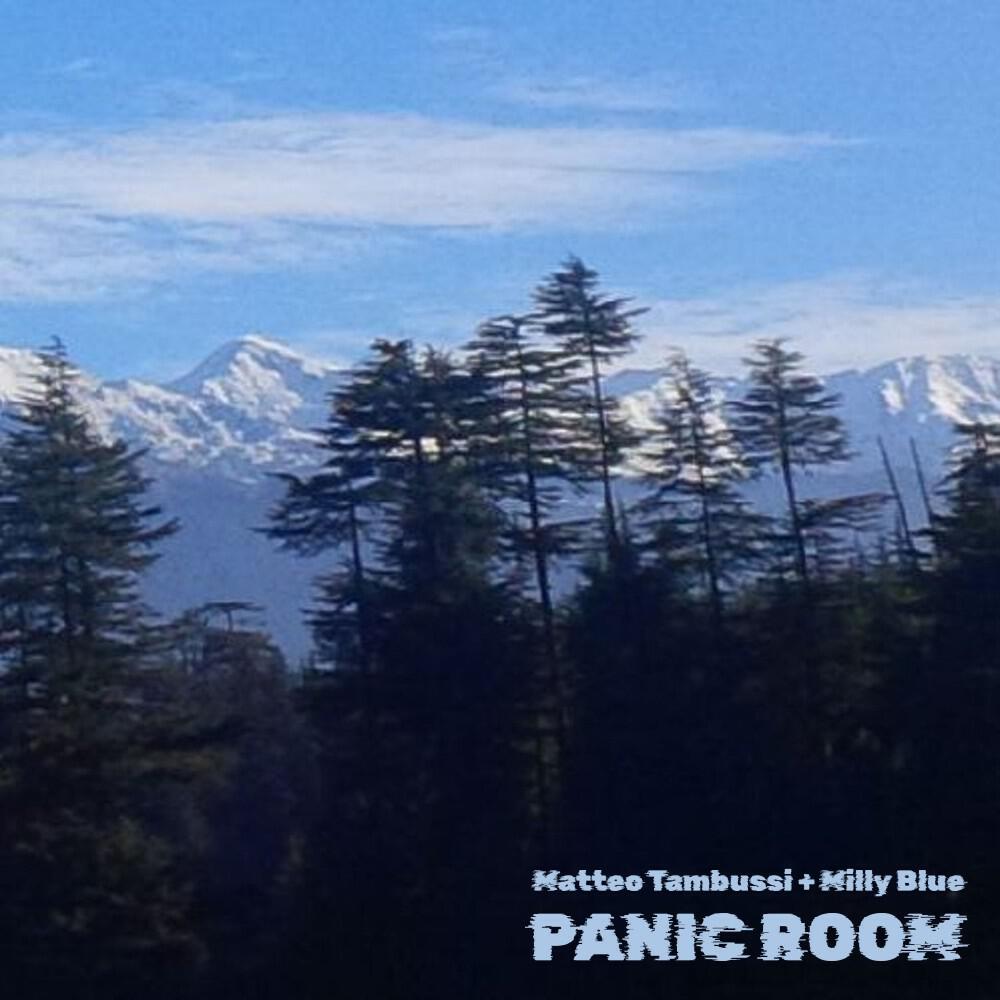 Релиз Panic Room
