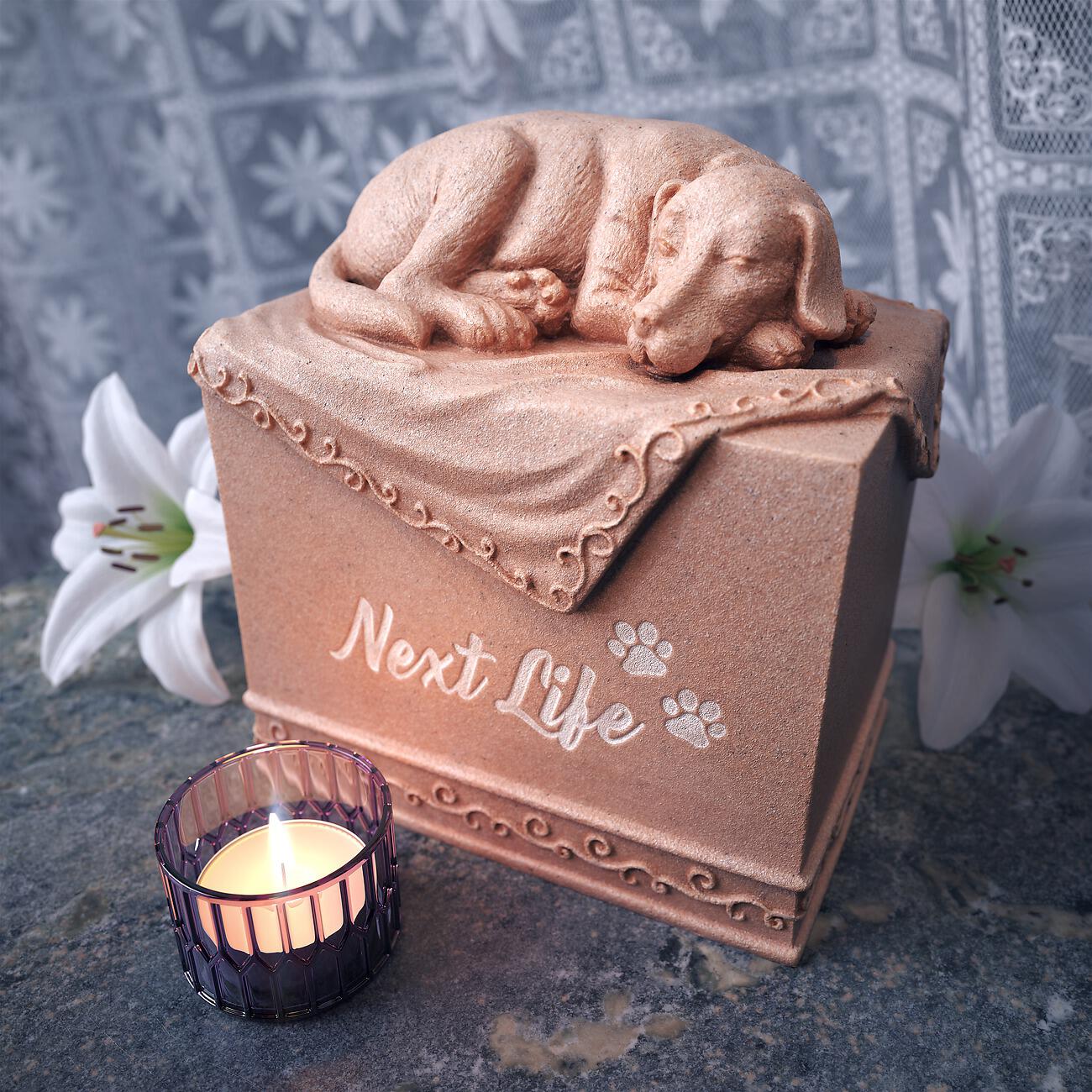Постер альбома Next Life
