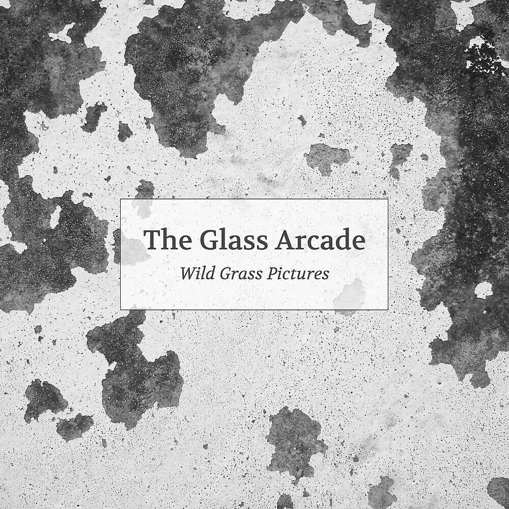 Релиз Wild Grass Pictures