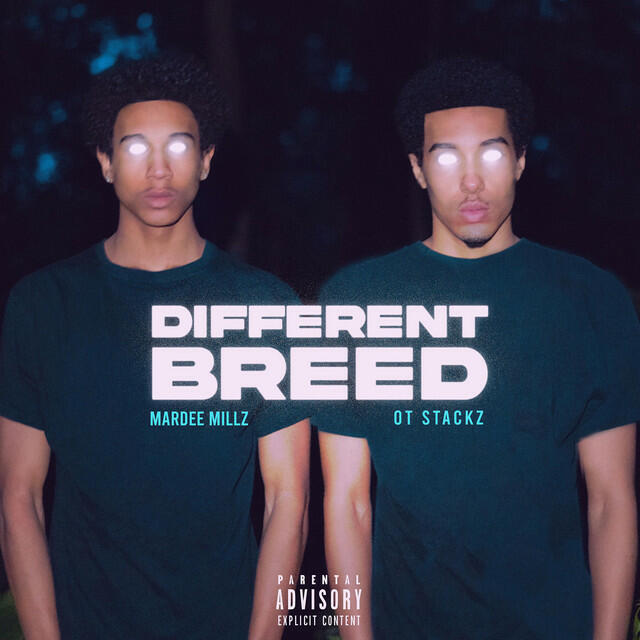 Релиз Different Breed