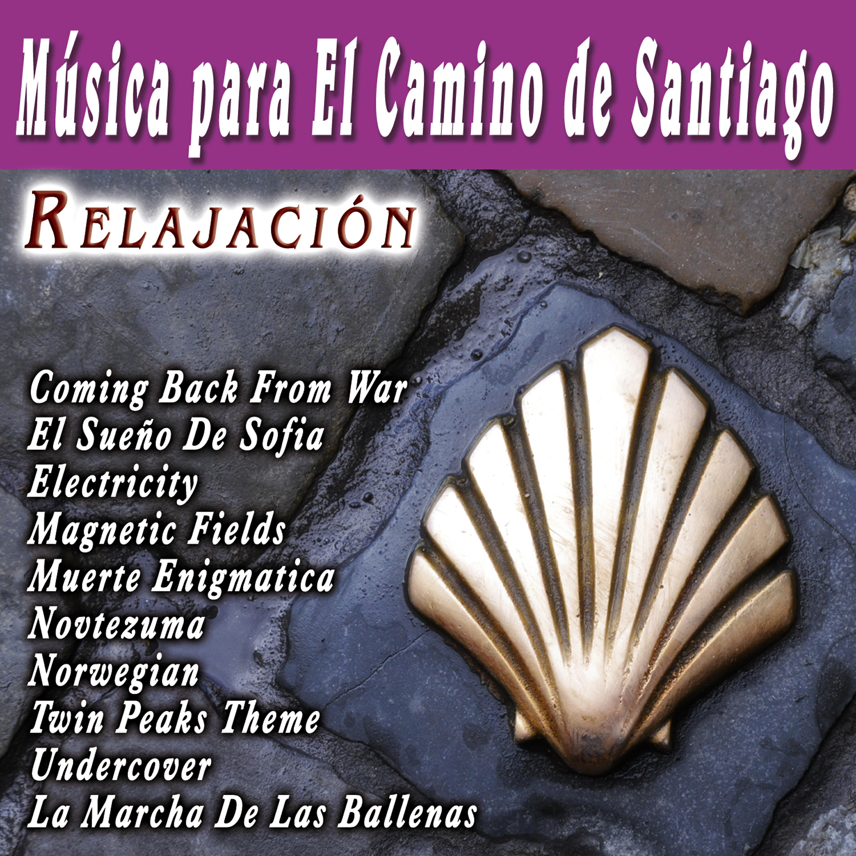 Релиз Musica Para El Camino De Santiago Relajacion