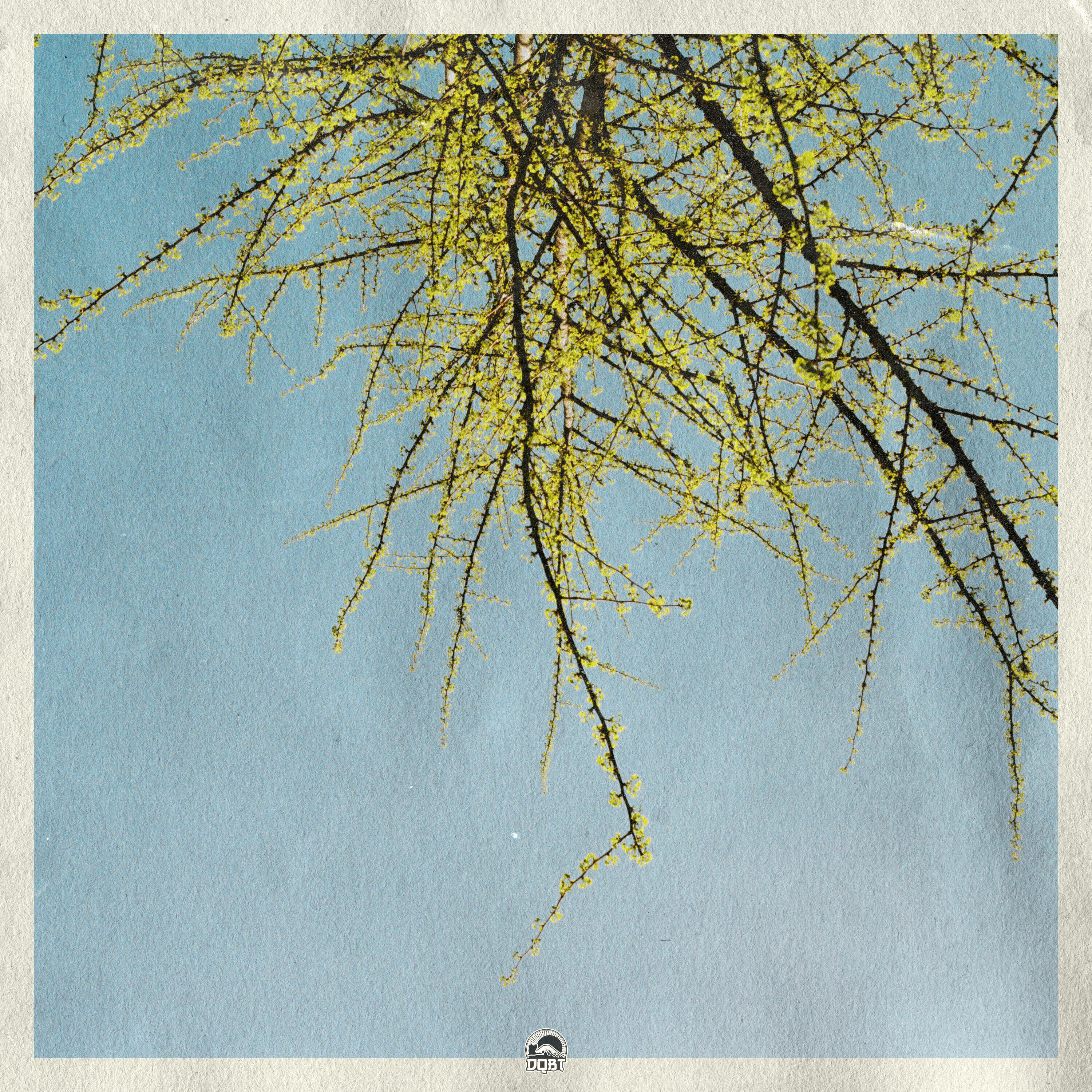 Релиз Dreamy