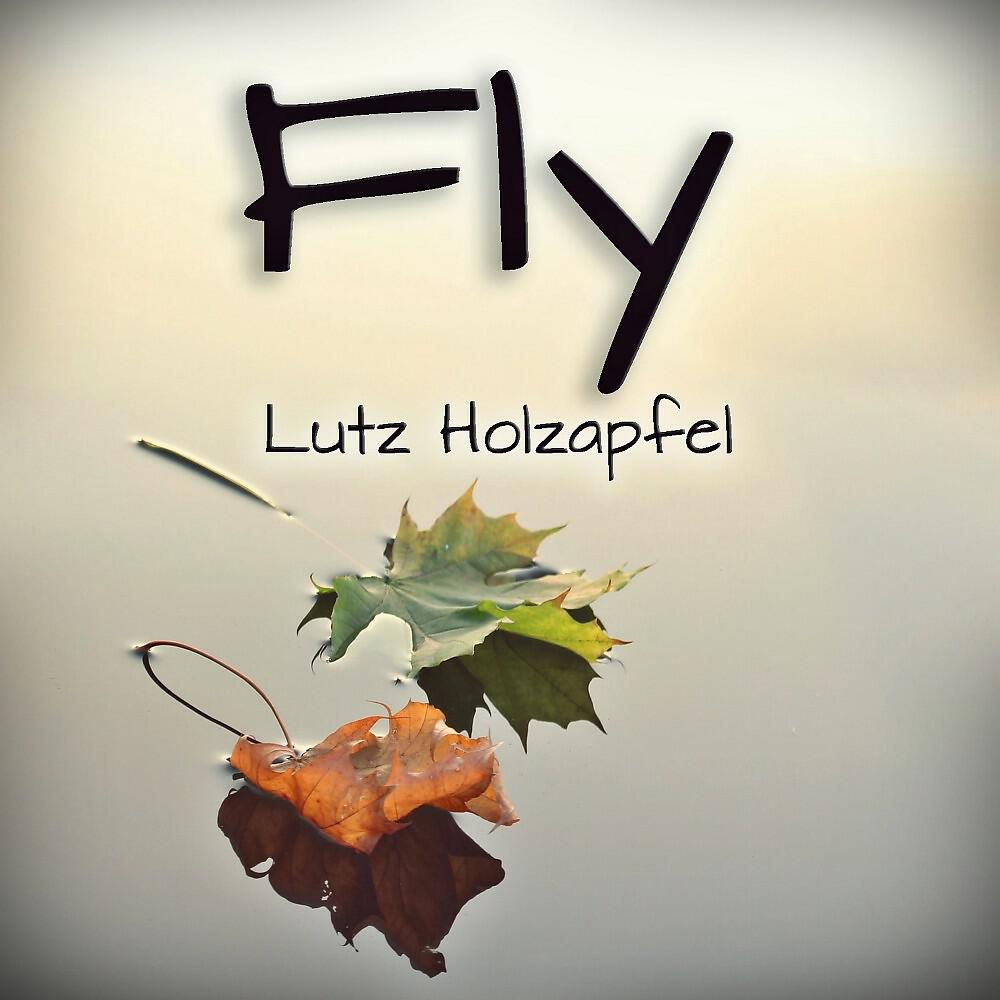 Релиз Fly